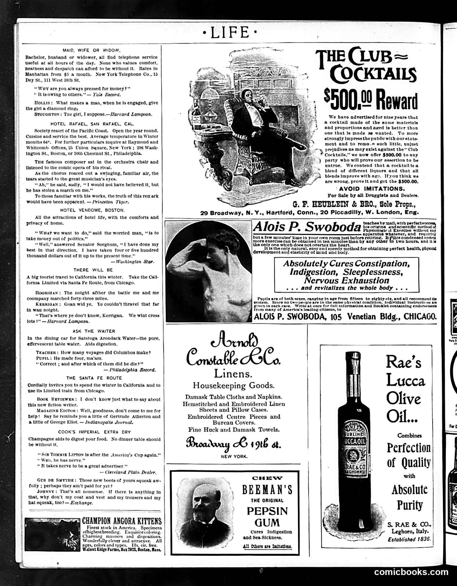 Life — December 6, 1900 — page 18 of 20