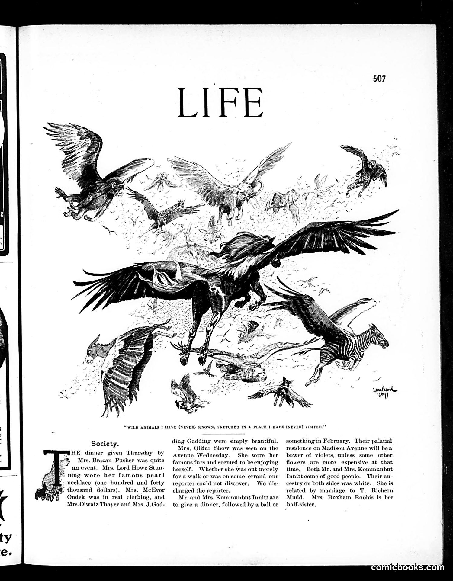 Life — December 13, 1900 — page 3 of 20
