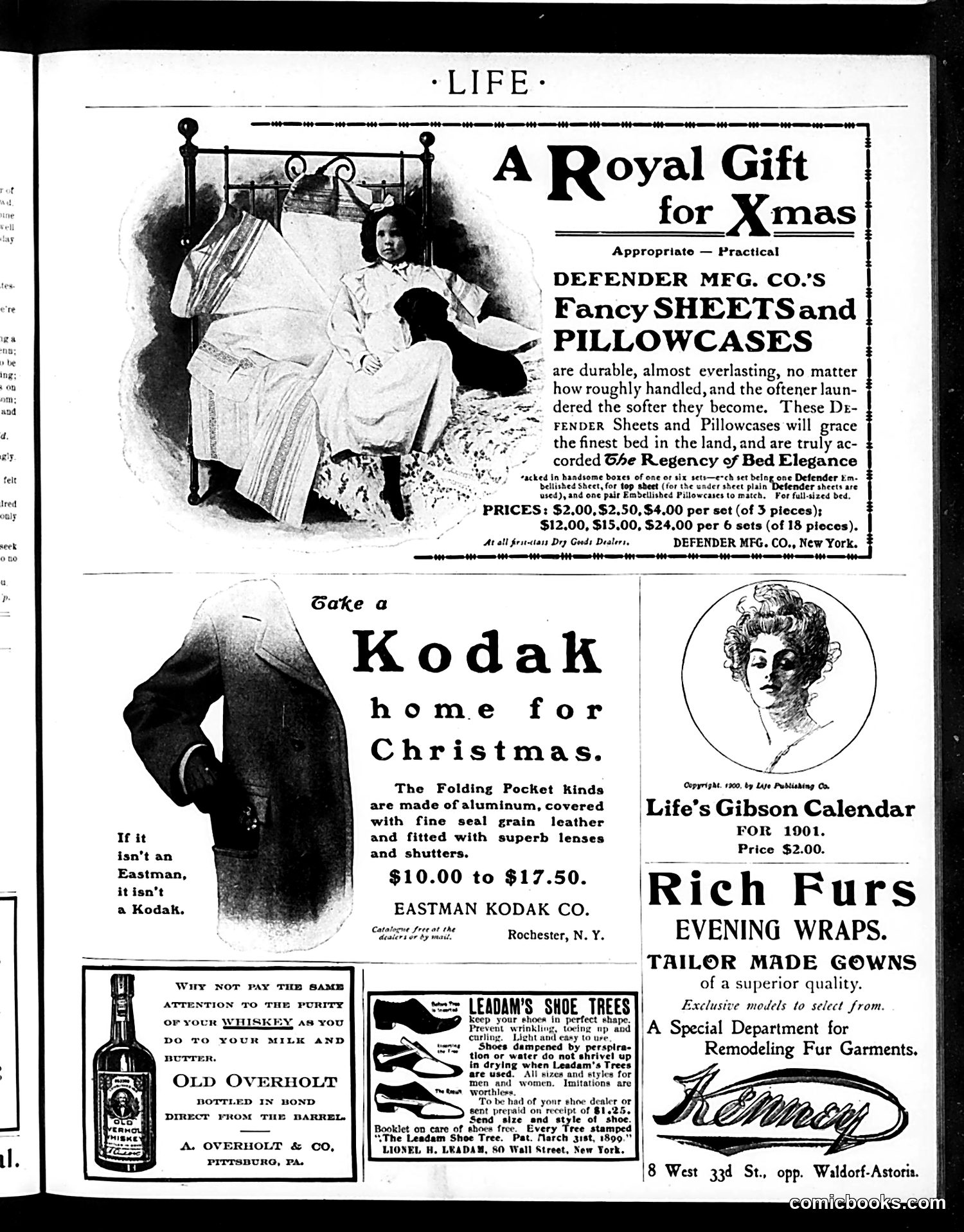 Life — December 13, 1900 — page 17 of 20