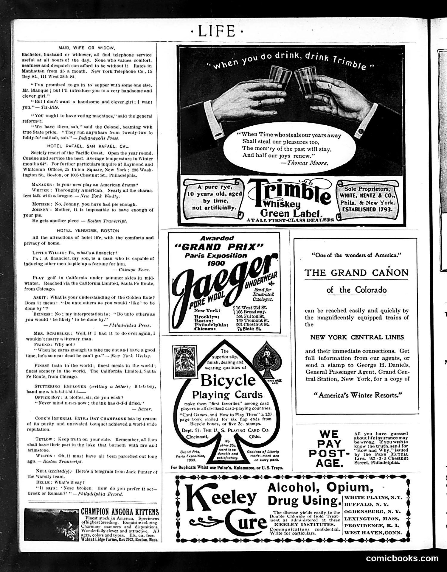 Life — December 13, 1900 — page 18 of 20