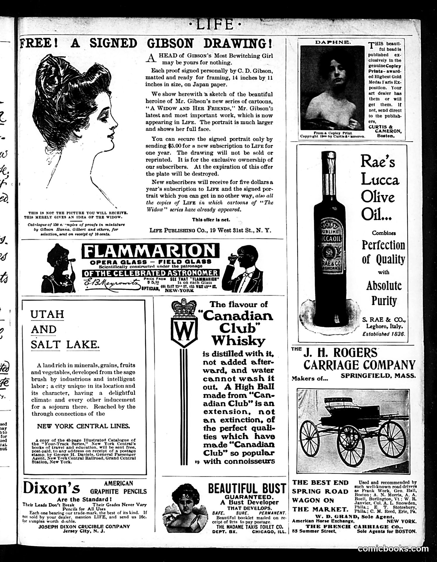 Life — December 27, 1900 — page 19 of 21