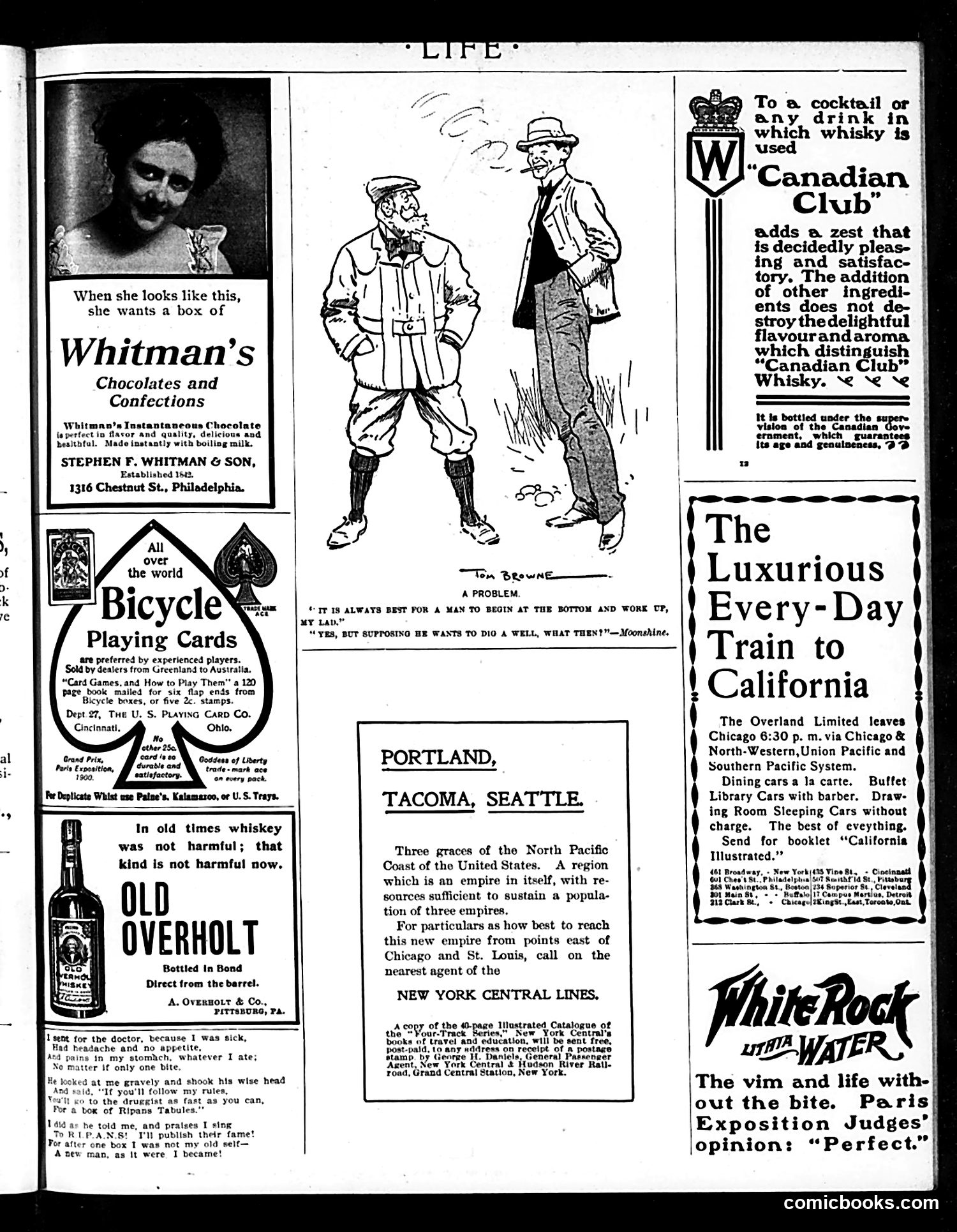 Life — January 10, 1901 — page 19 of 20