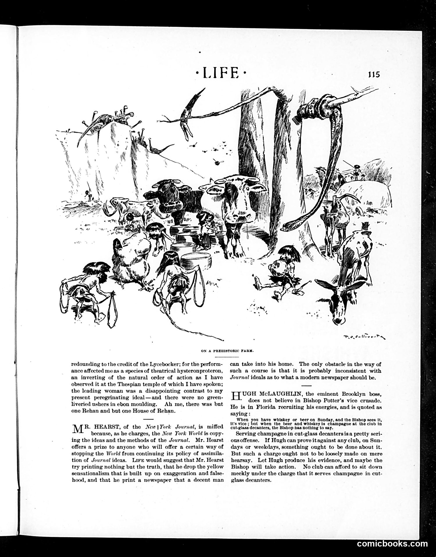 Life — February 7, 1901 — page 15 of 20