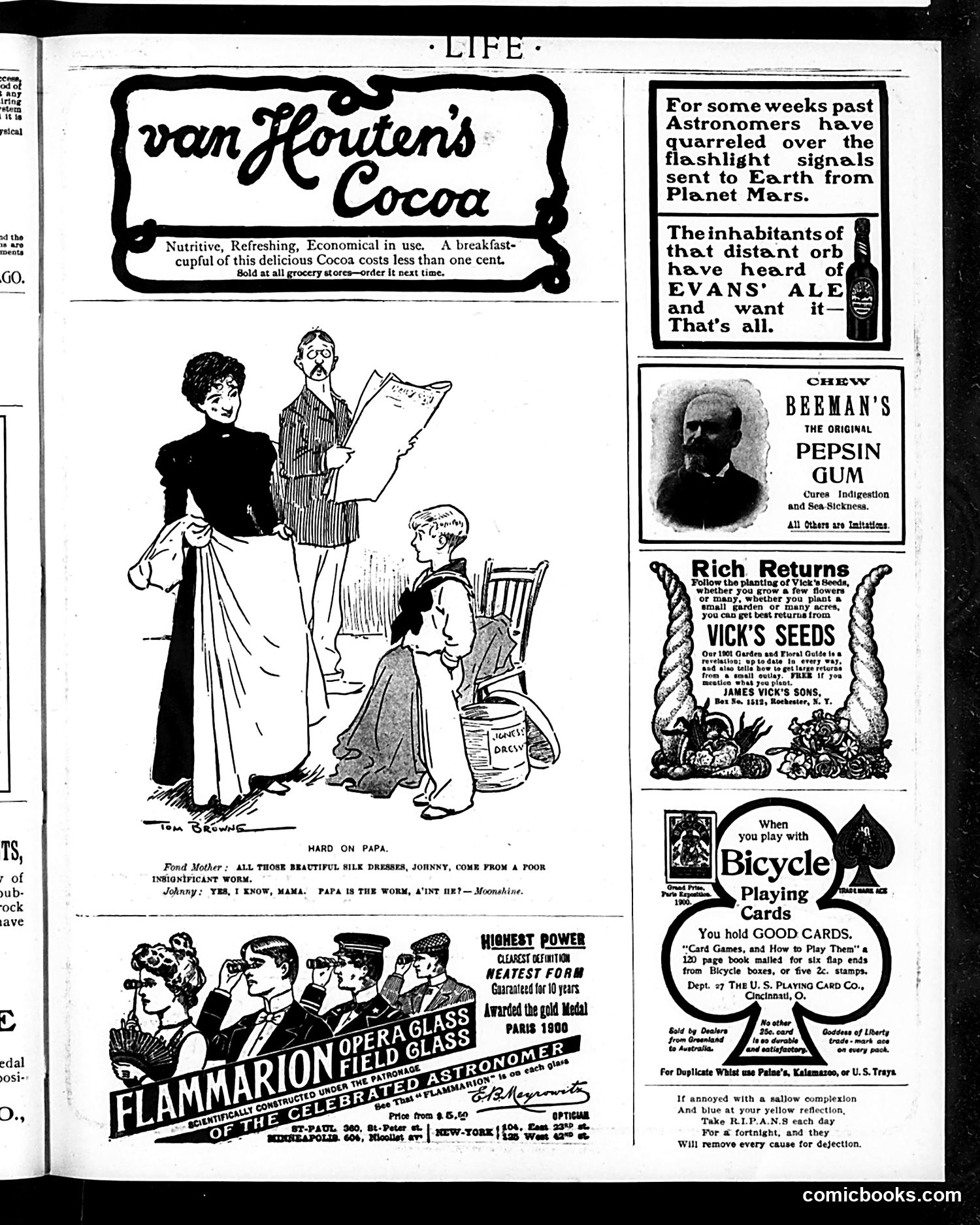 Life — February 14, 1901 — page 19 of 20