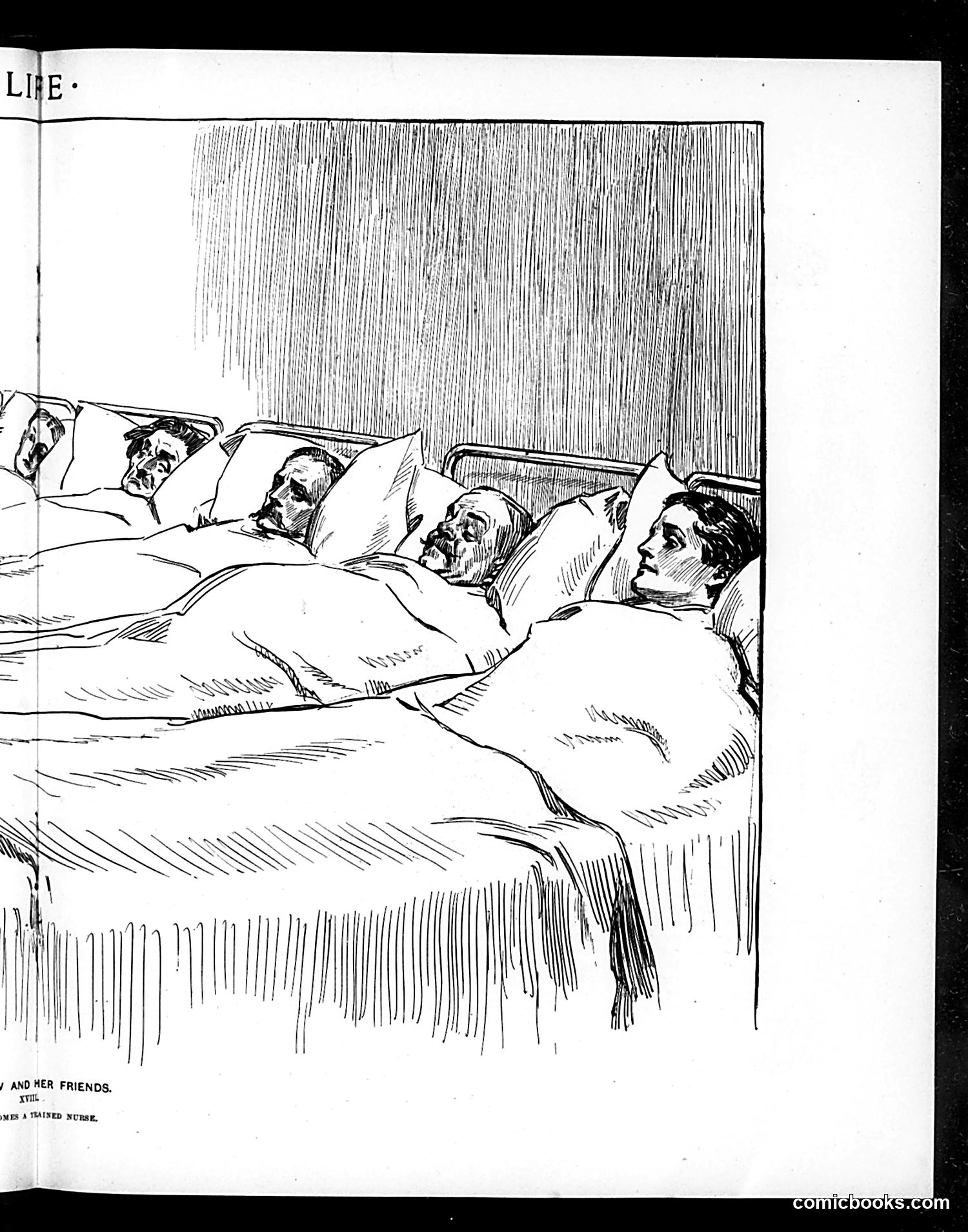 Life — February 21, 1901 — page 11 of 20