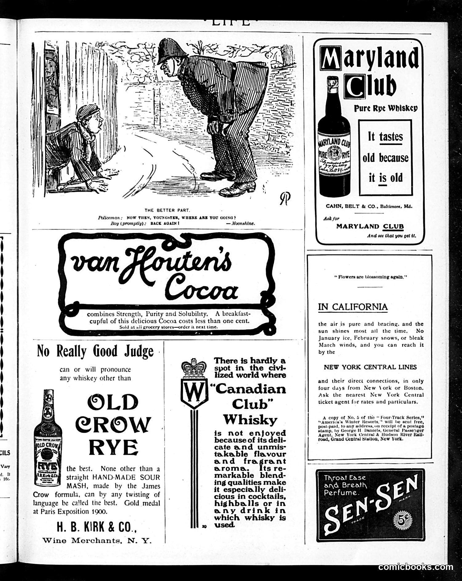 Life — February 21, 1901 — page 19 of 20
