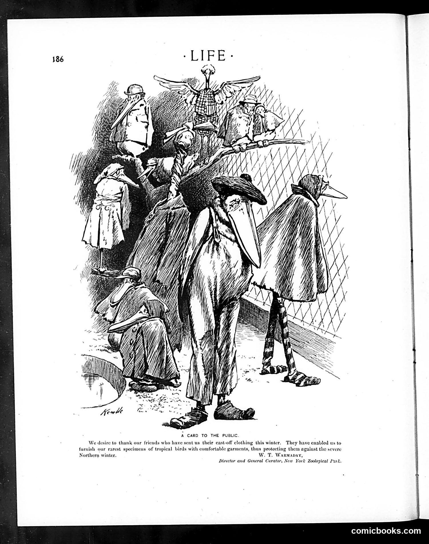 Life — March 7, 1901 — page 6 of 20