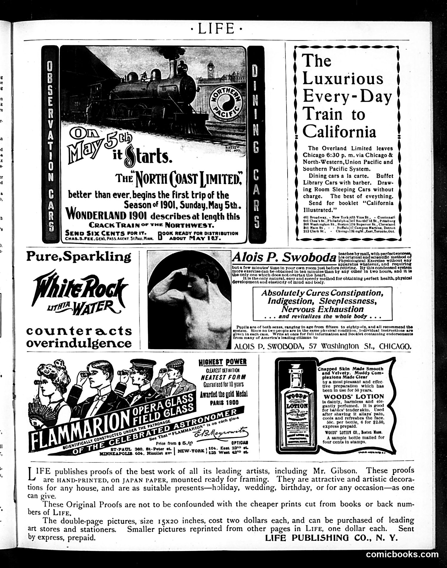 Life — March 14, 1901 — page 17 of 20