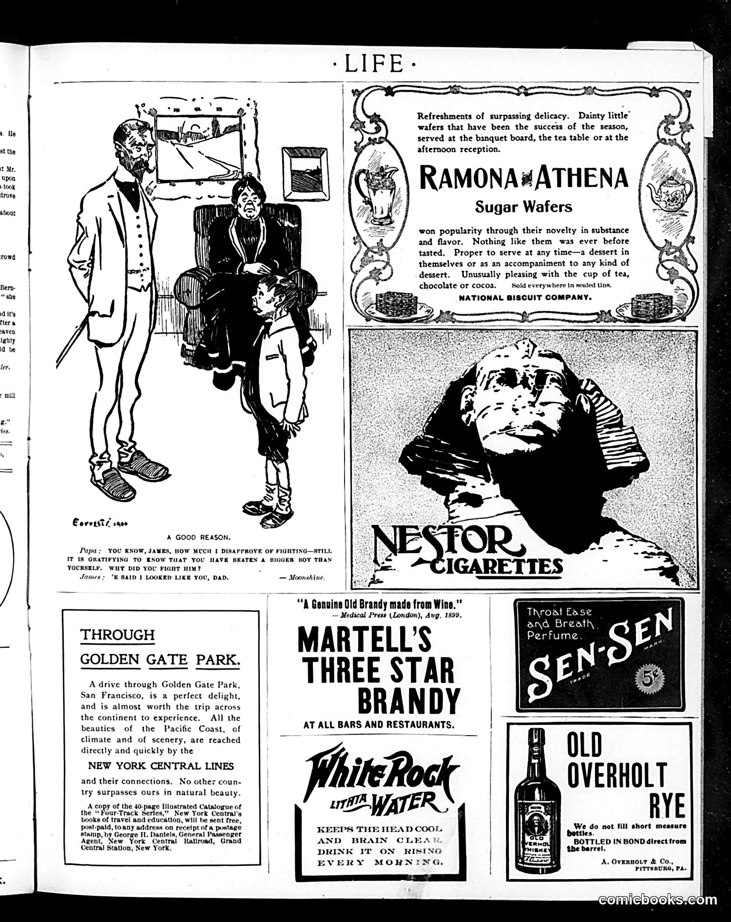 Life — March 21, 1901 — page 17 of 22