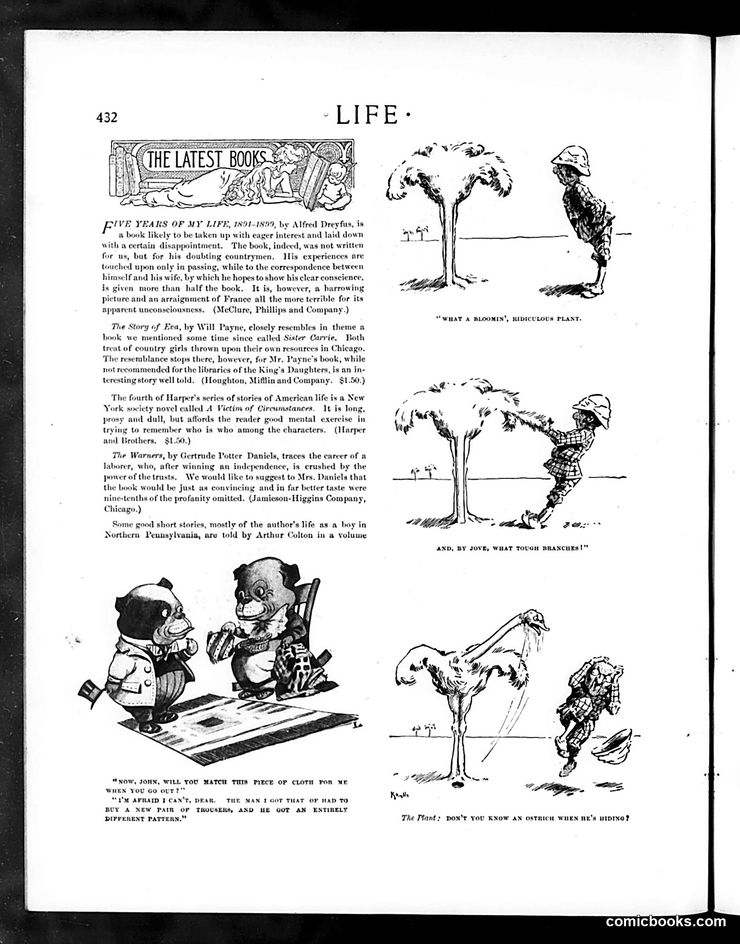 Life — May 23, 1901 — page 6 of 22