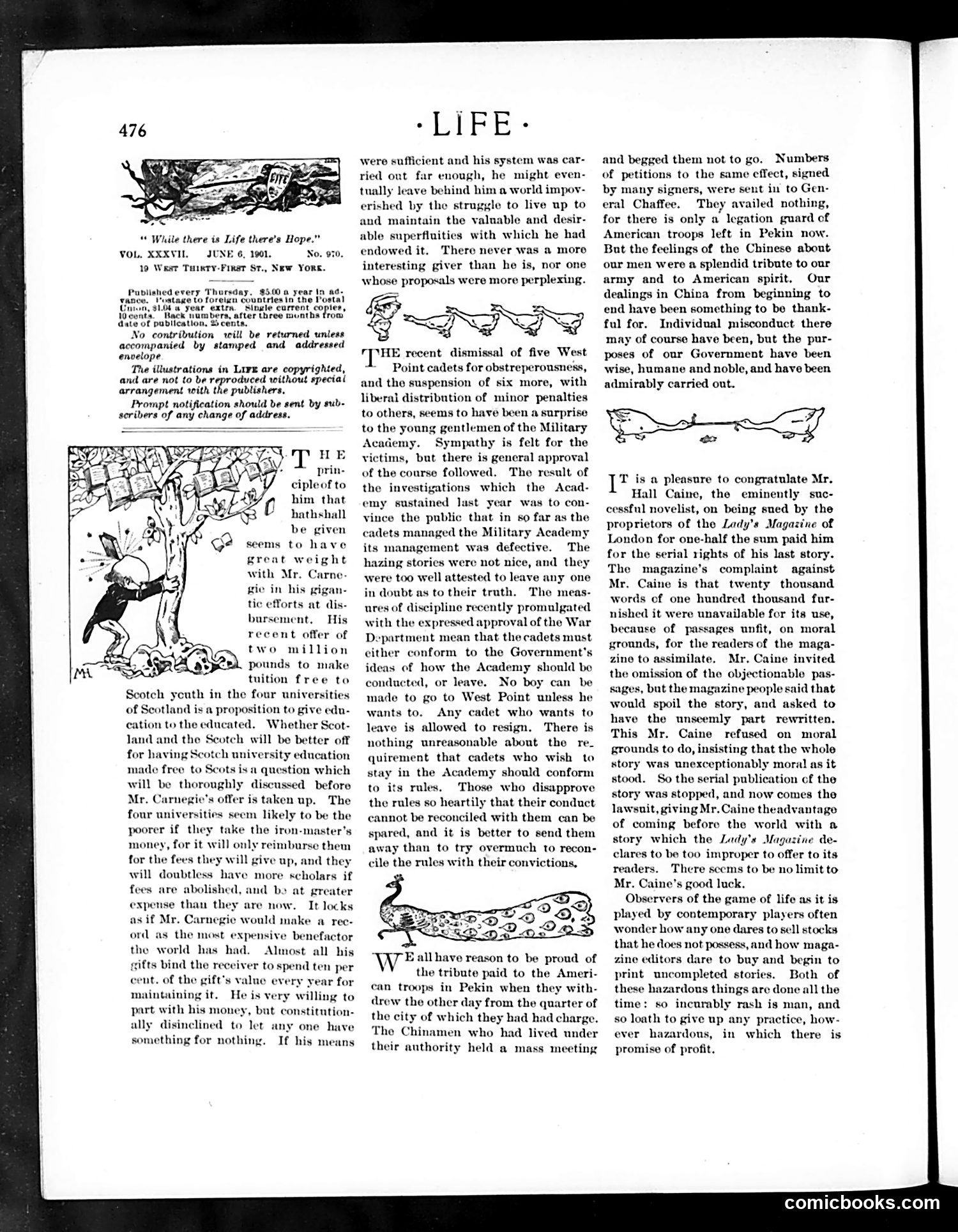 Life — June 6, 1901 — page 6 of 28