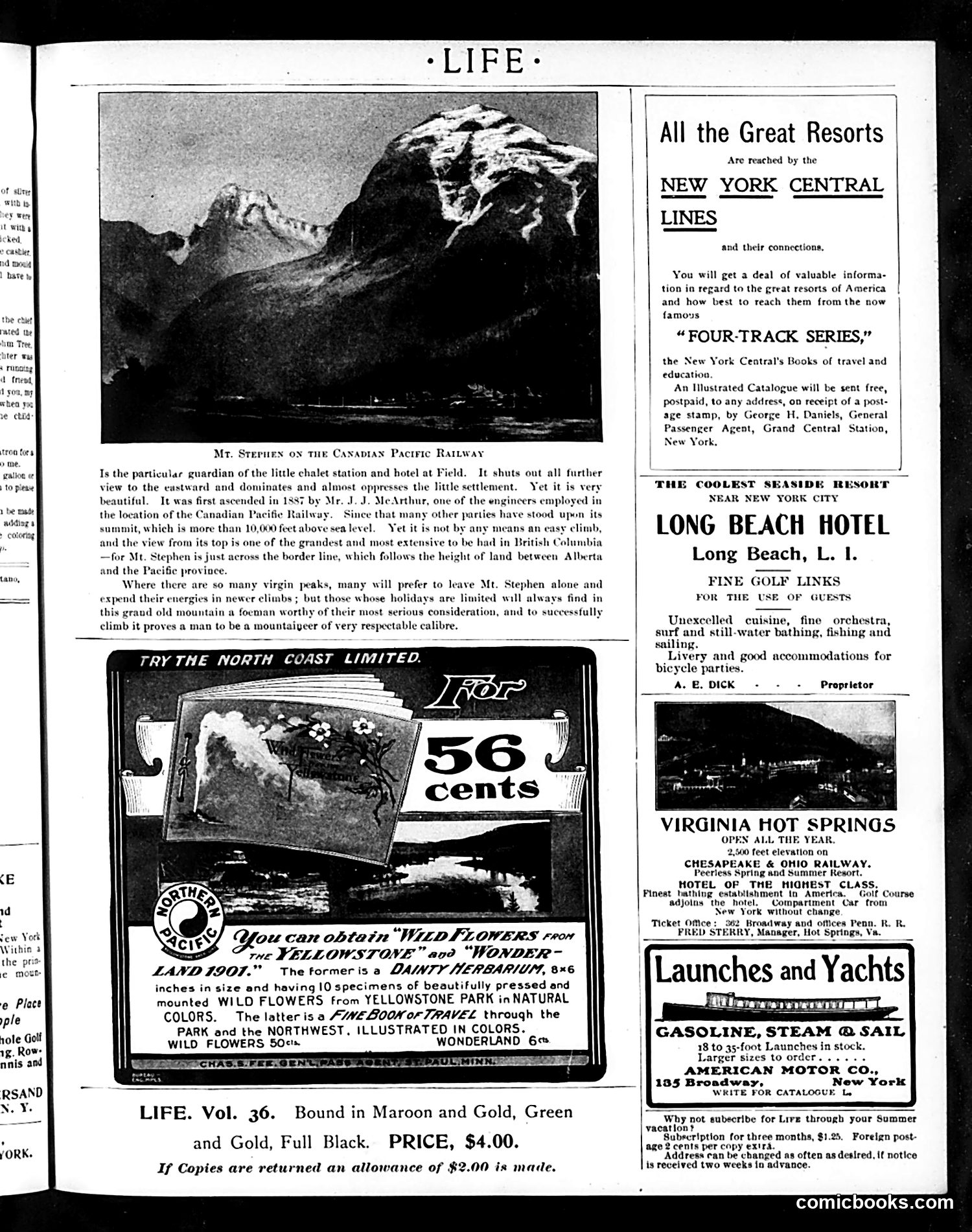 Life — June 13, 1901 — page 17 of 20