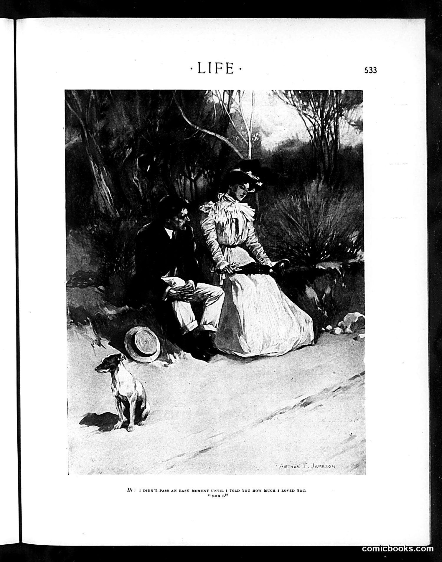 Life — June 20, 1901 — page 15 of 20