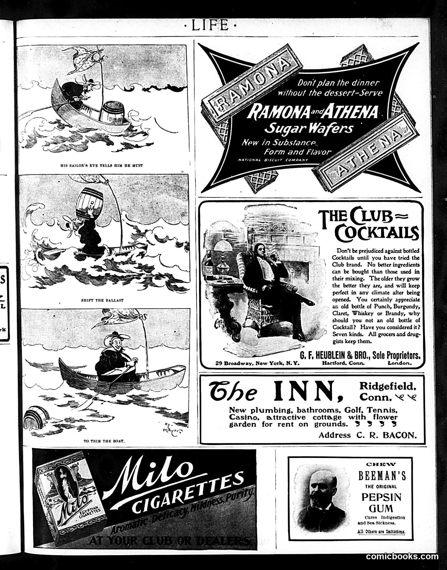 Life — June 20, 1901 — page 19 of 20