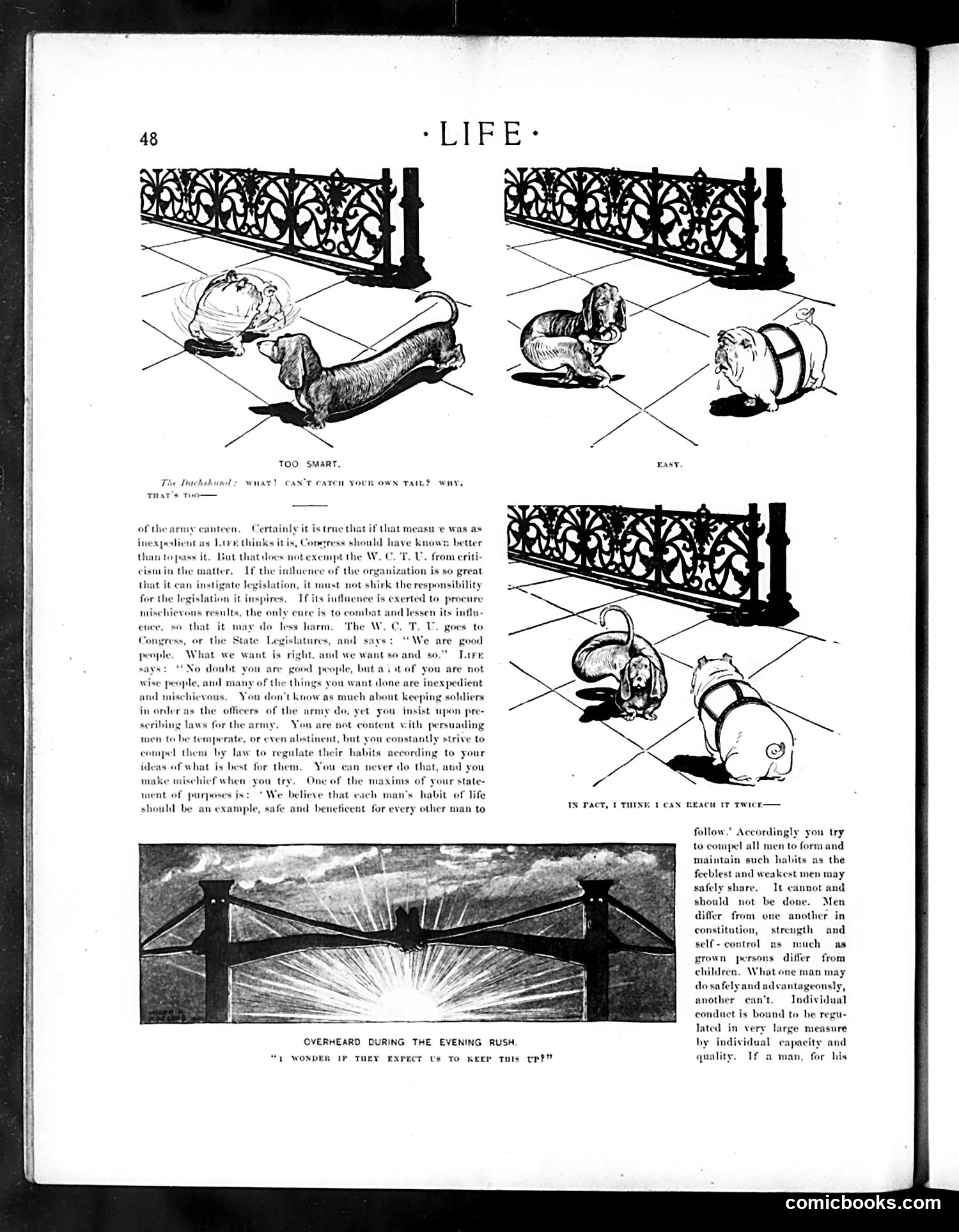 Life — July 18, 1901 — page 8 of 20