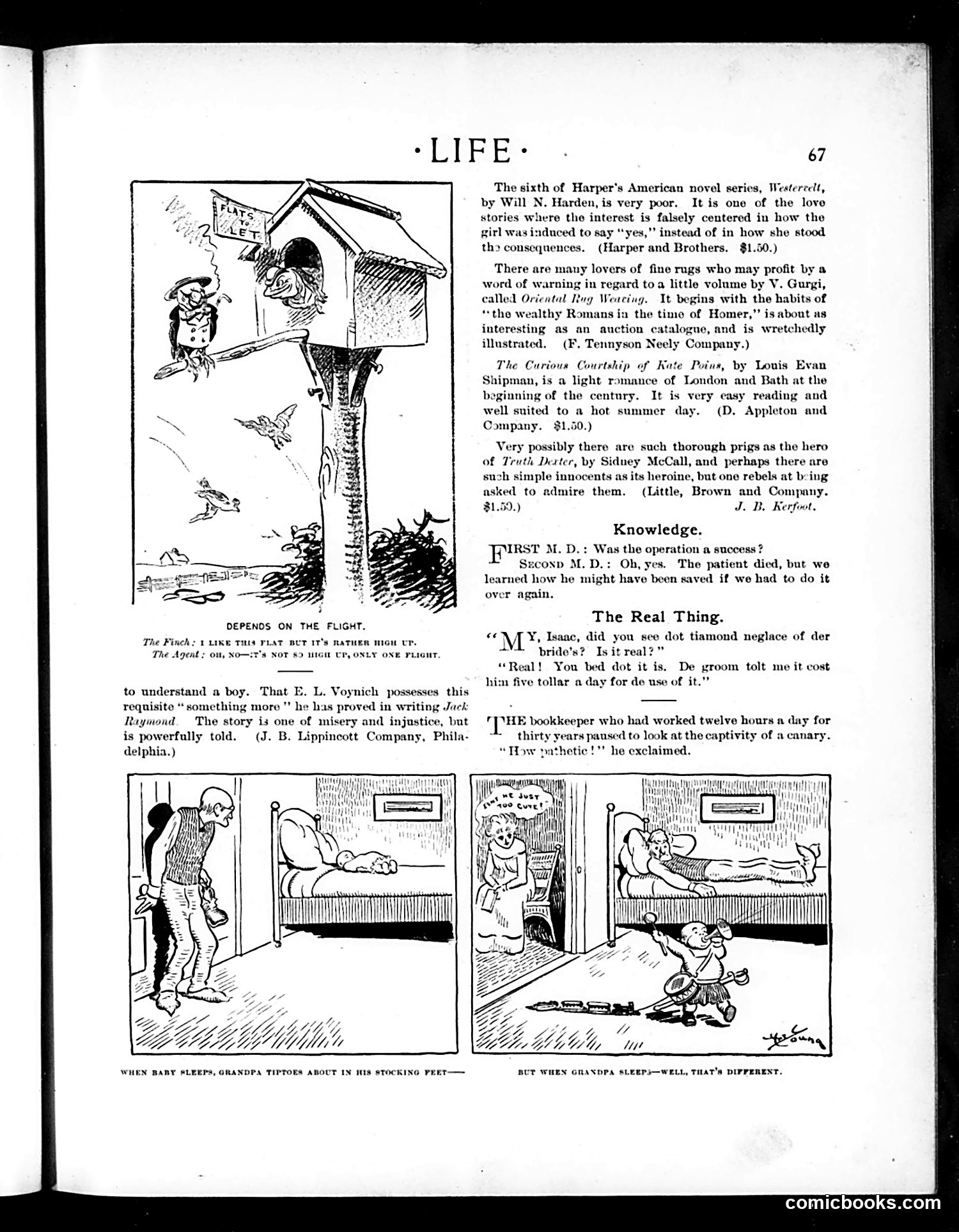 Life — July 25, 1901 — page 7 of 20