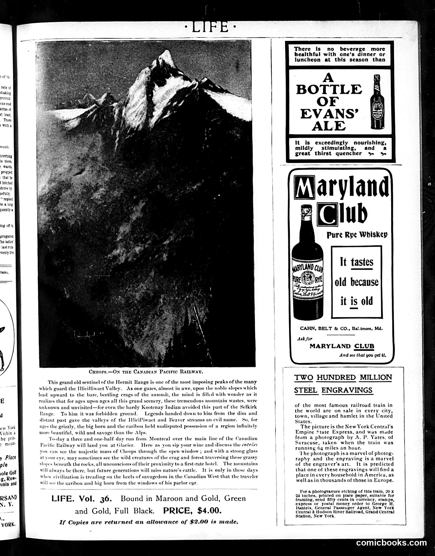 Life — July 25, 1901 — page 17 of 20