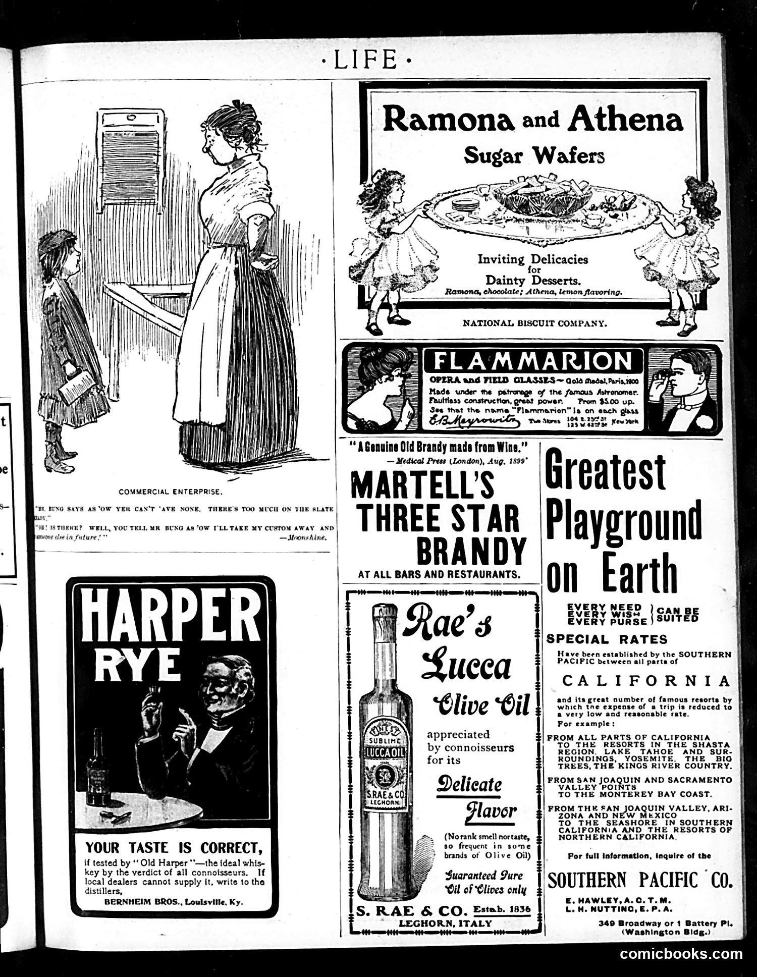 Life — July 25, 1901 — page 19 of 20