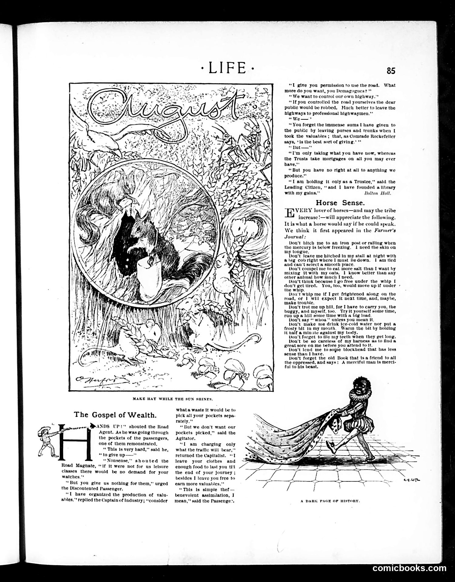 Life — August 1, 1901 — page 5 of 20
