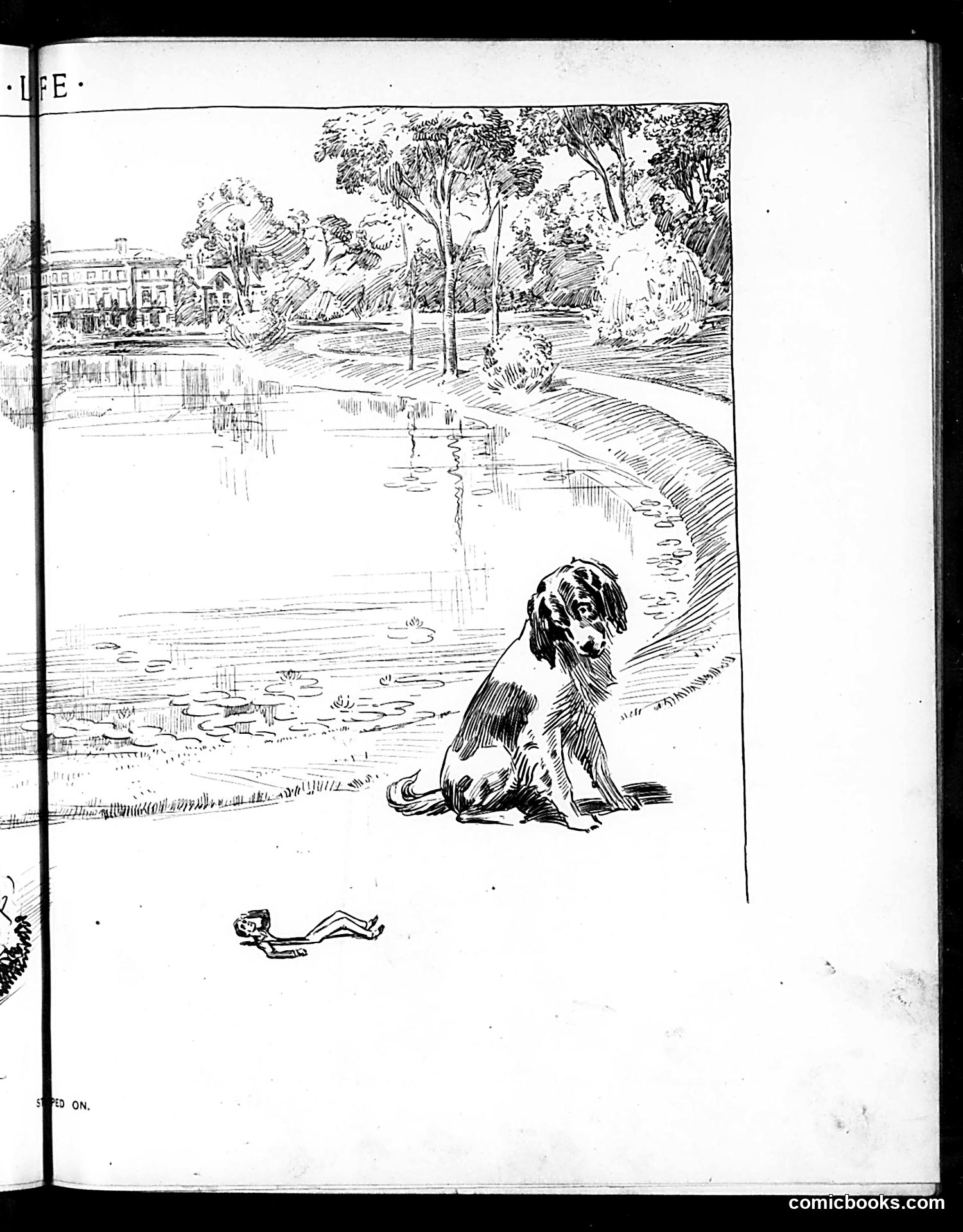 Life — August 1, 1901 — page 11 of 20