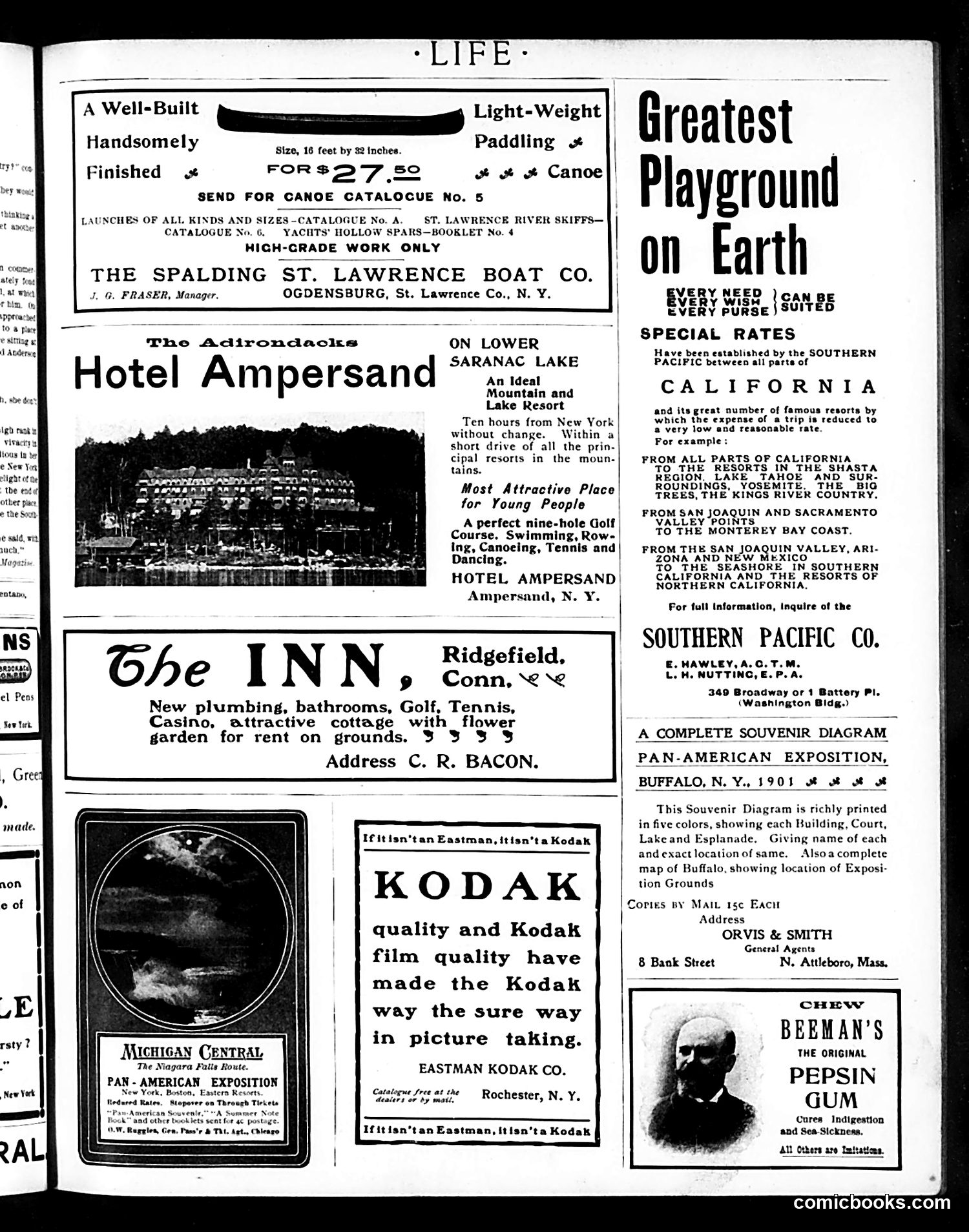 Life — August 1, 1901 — page 17 of 20