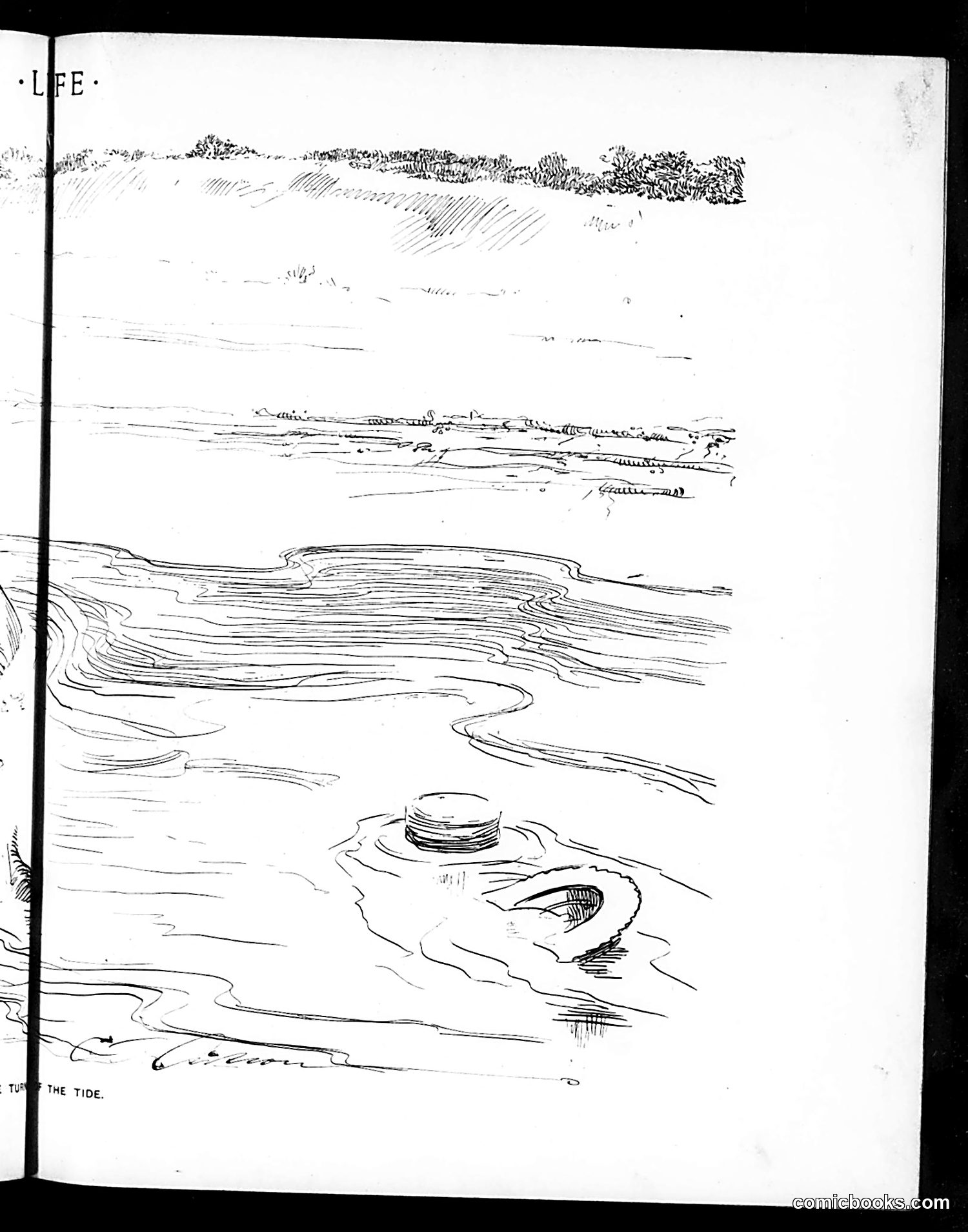 Life — August 8, 1901 — page 11 of 20
