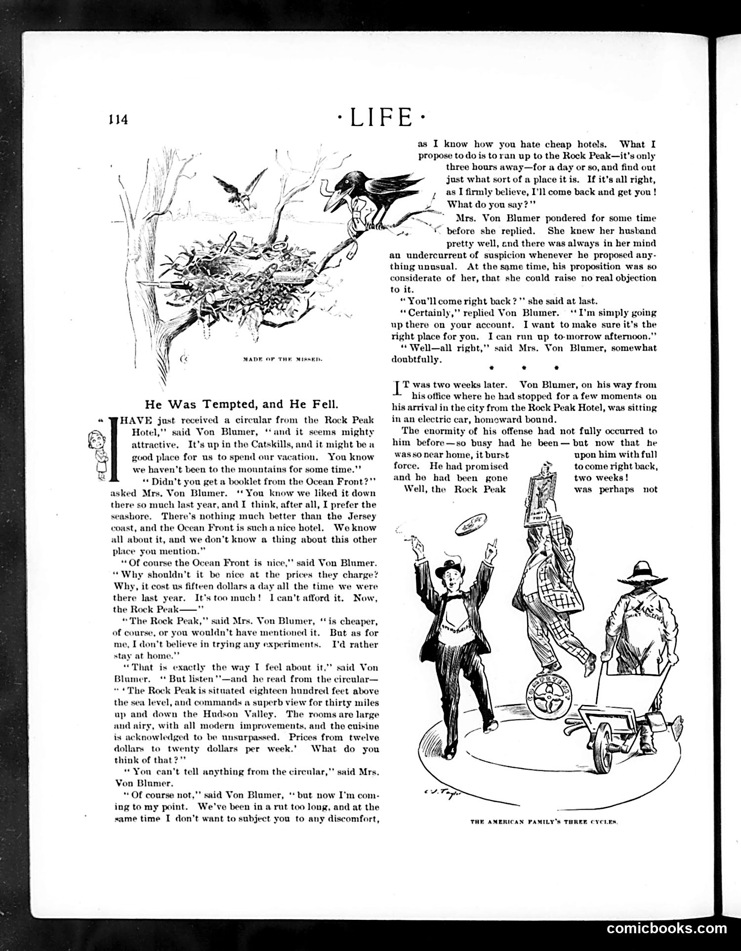 Life — August 8, 1901 — page 14 of 20