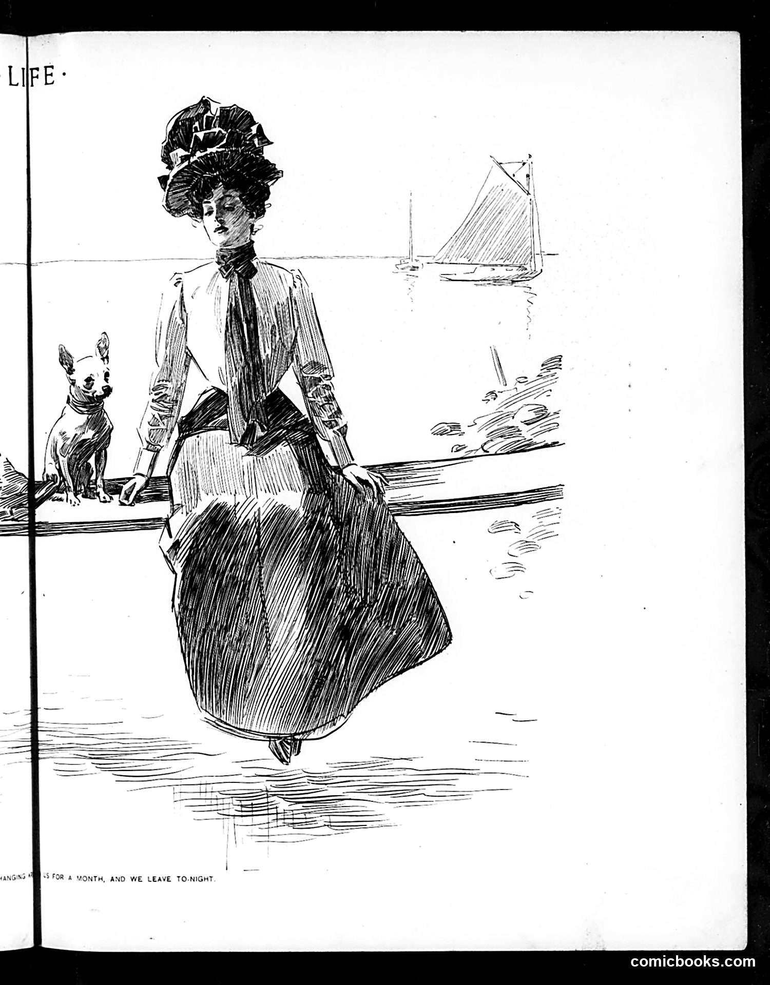 Life — August 15, 1901 — page 11 of 20