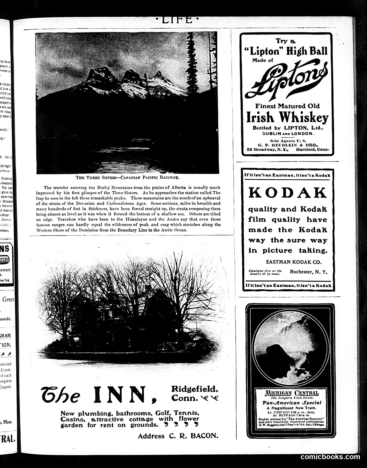 Life — August 15, 1901 — page 17 of 20