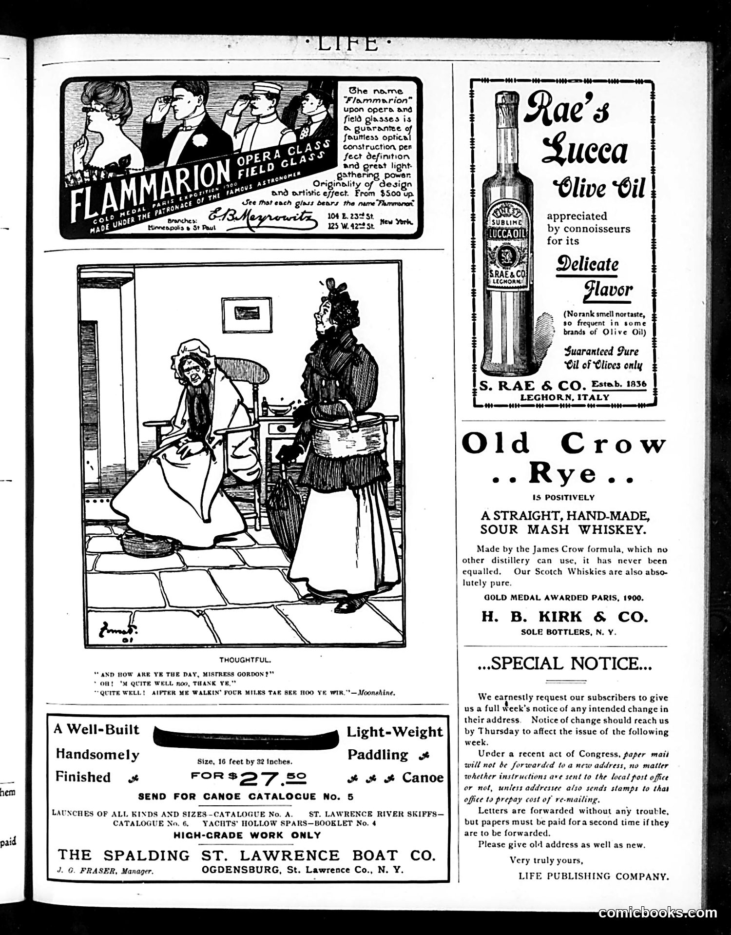 Life — August 15, 1901 — page 19 of 20