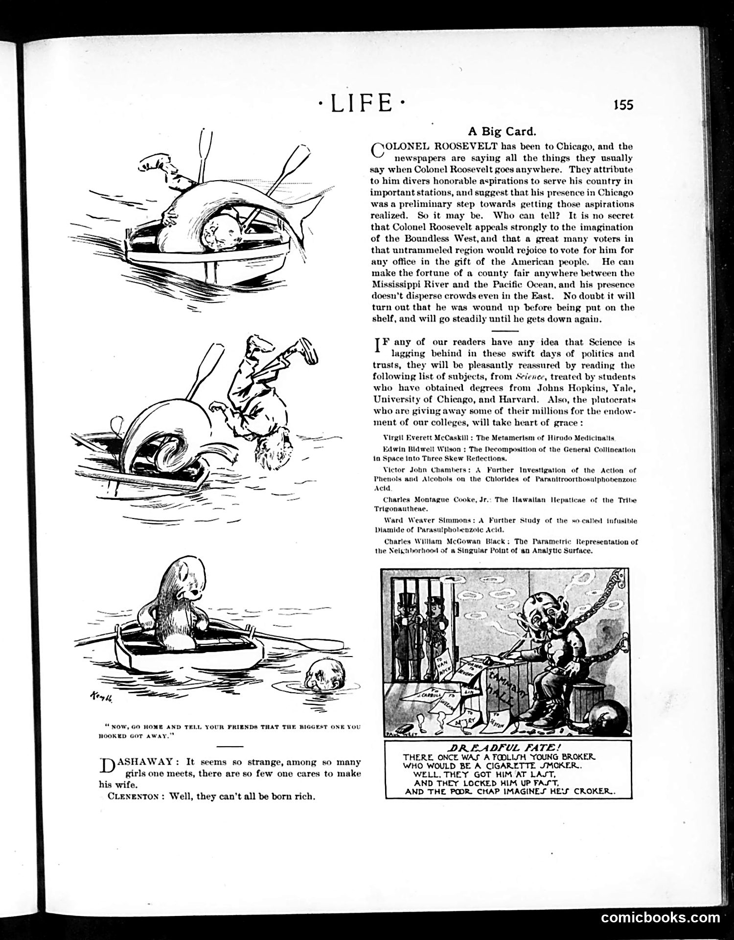 Life — August 22, 1901 — page 15 of 20