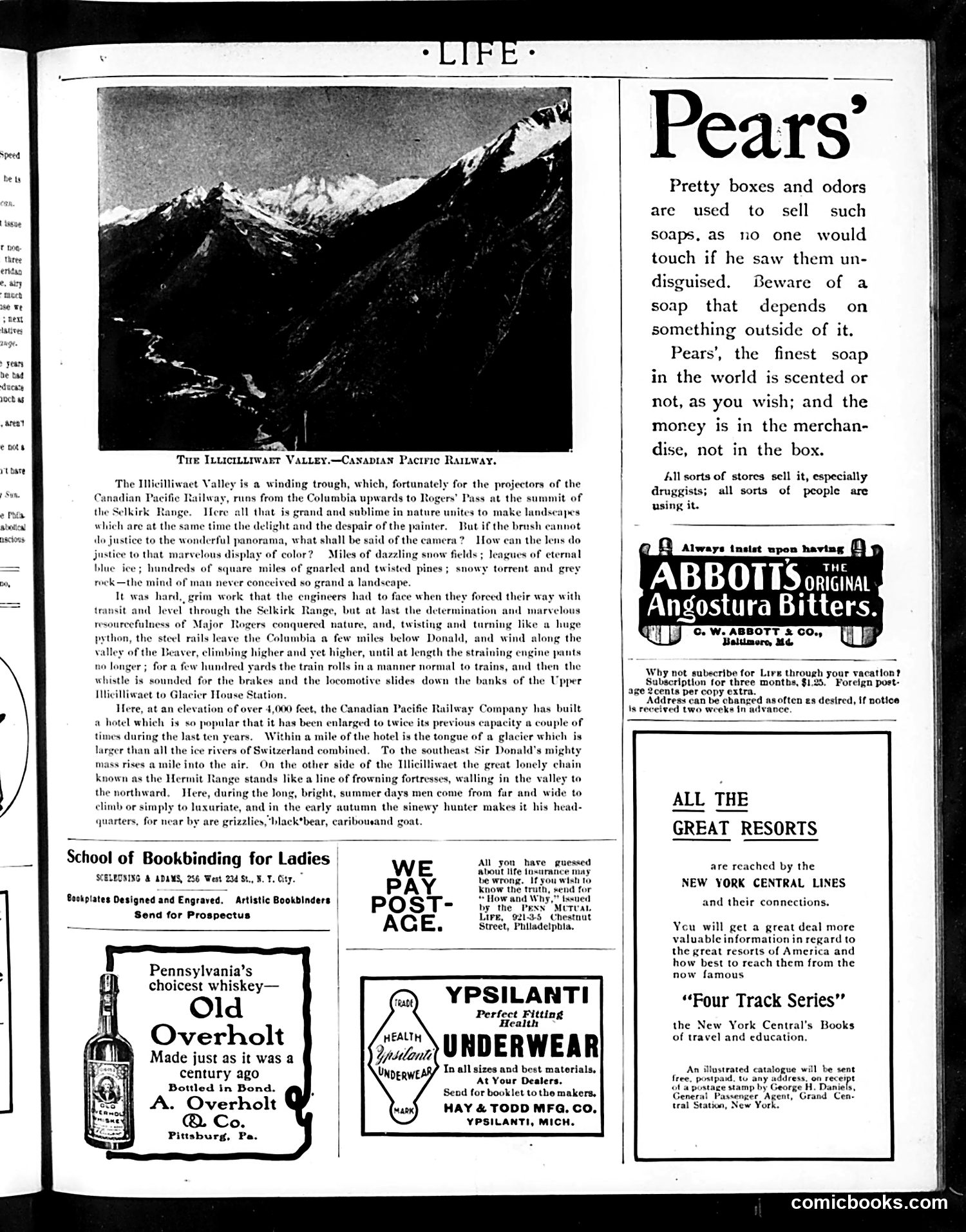 Life — August 22, 1901 — page 17 of 20
