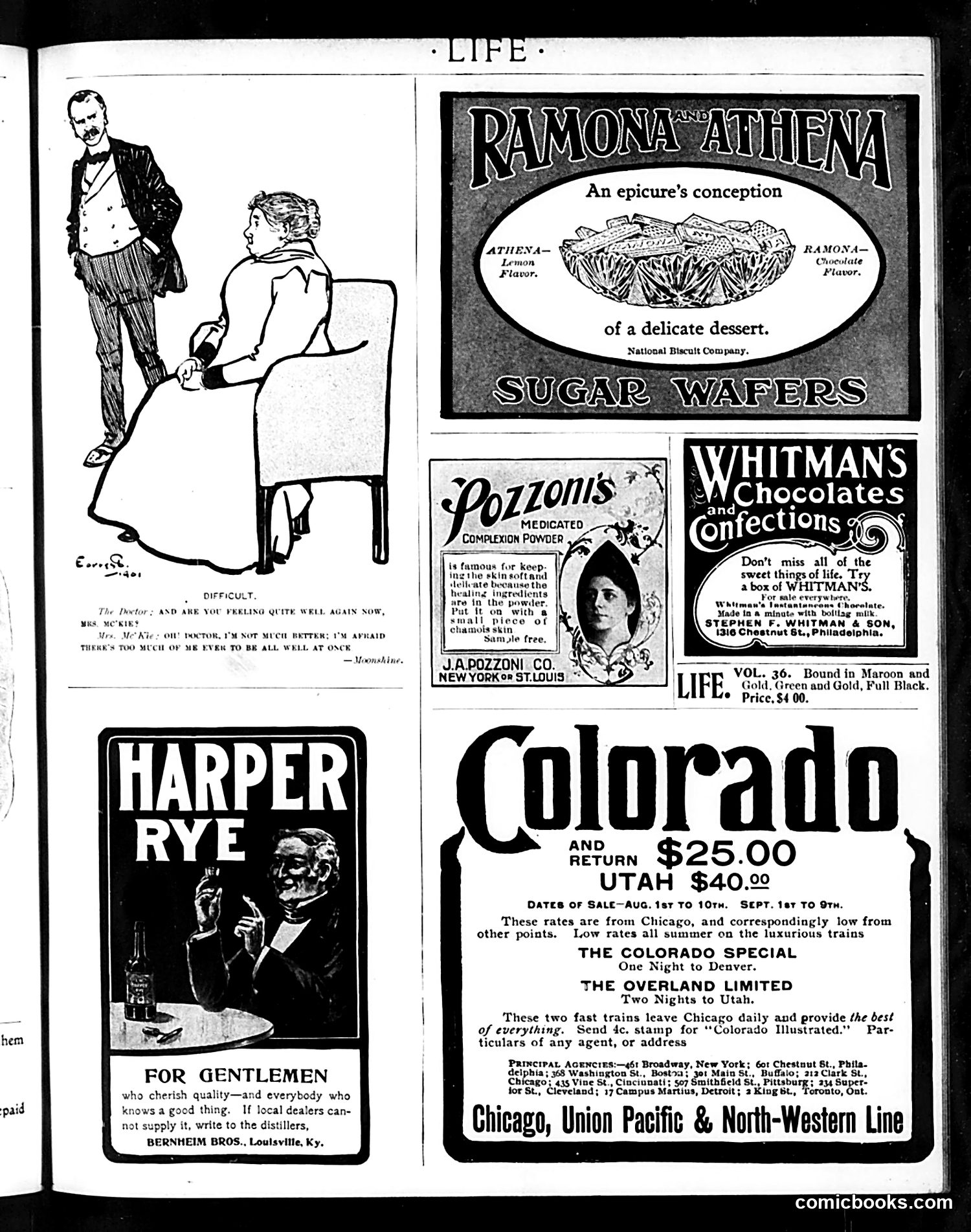 Life — August 22, 1901 — page 19 of 20
