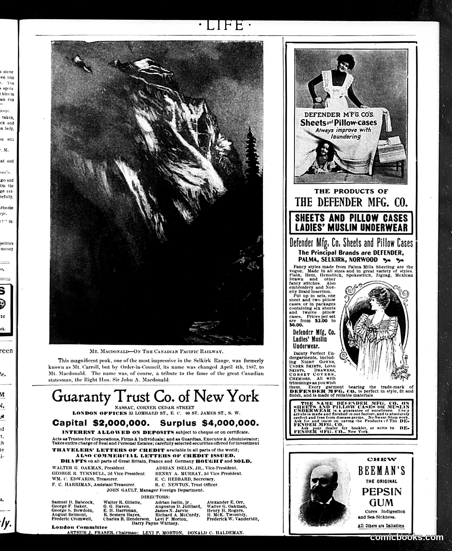Life — August 29, 1901 — page 17 of 20