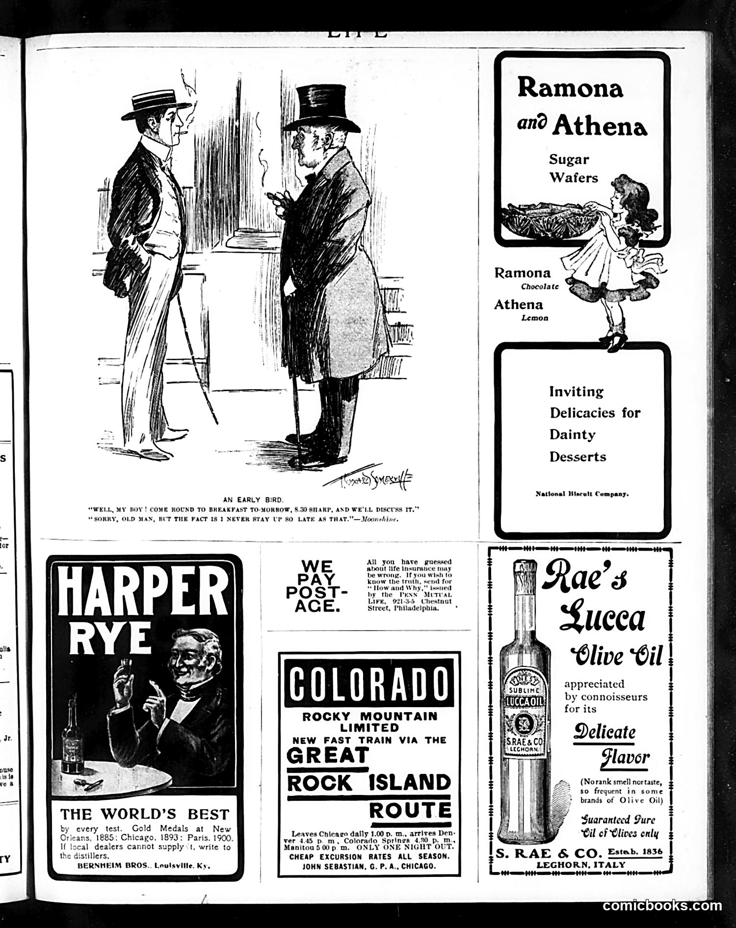 Life — September 5, 1901 — page 19 of 20