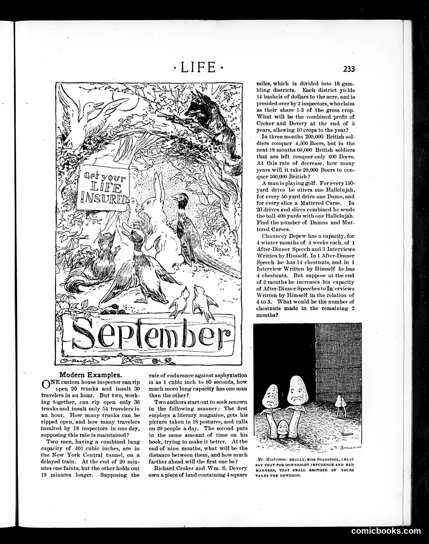 Life — September 19, 1901 — page 13 of 20