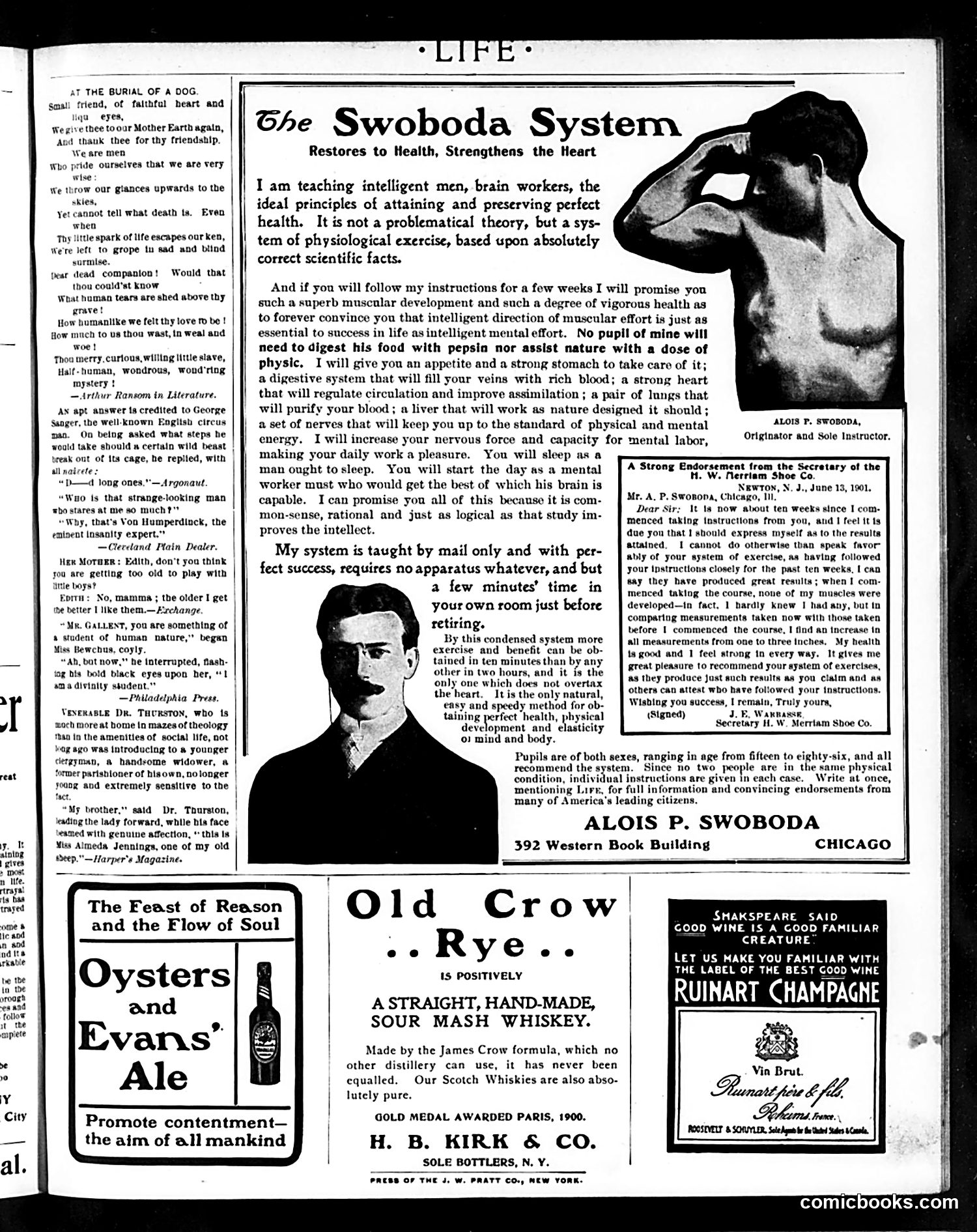 Life — September 26, 1901 — page 19 of 20