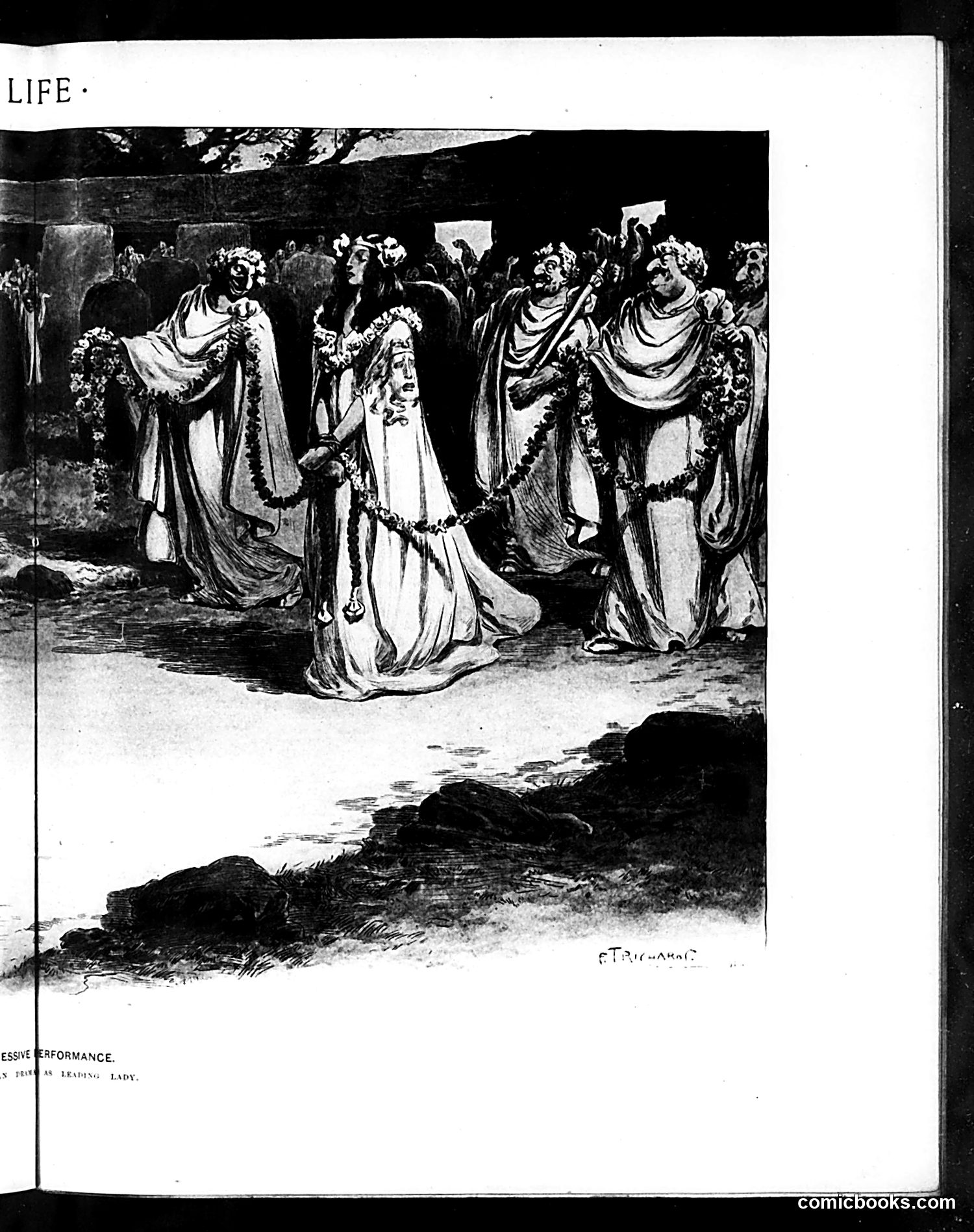 Life — November 14, 1901 — page 11 of 20