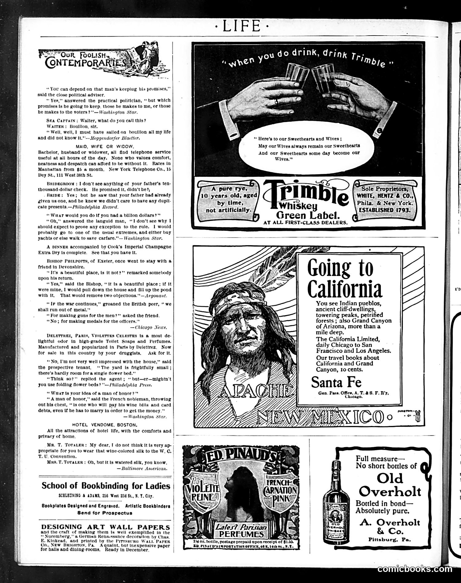Life — November 14, 1901 — page 18 of 20