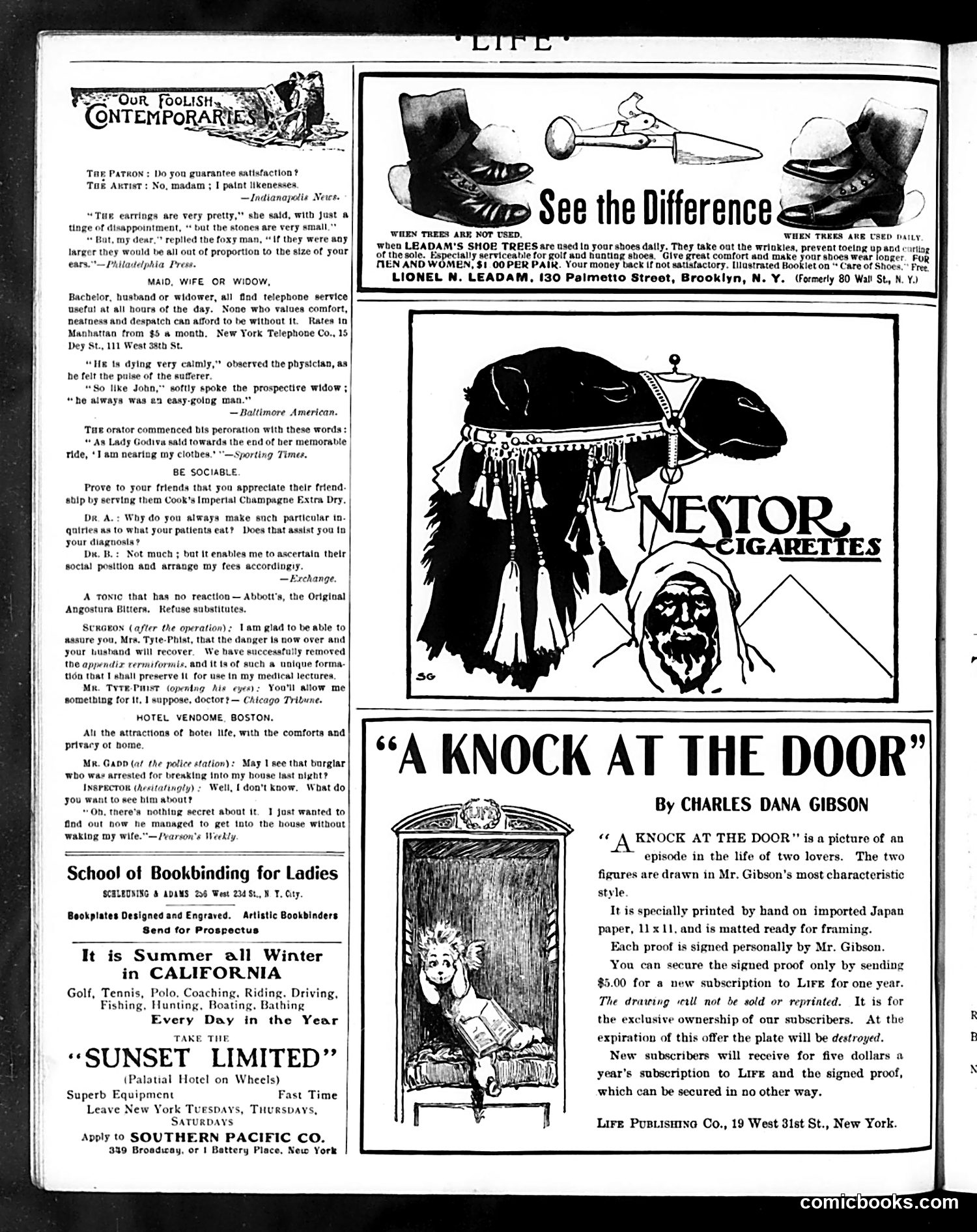 Life — November 21, 1901 — page 18 of 20