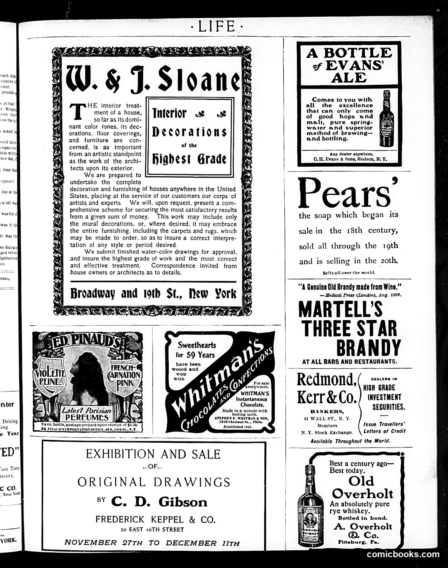 Life — November 28, 1901 — page 17 of 22