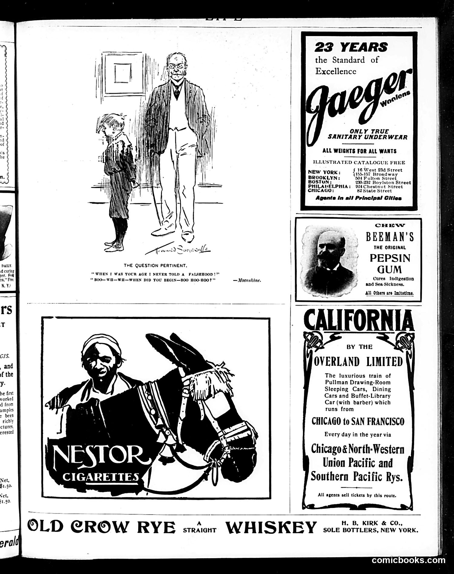 Life — December 5, 1901 — page 19 of 20