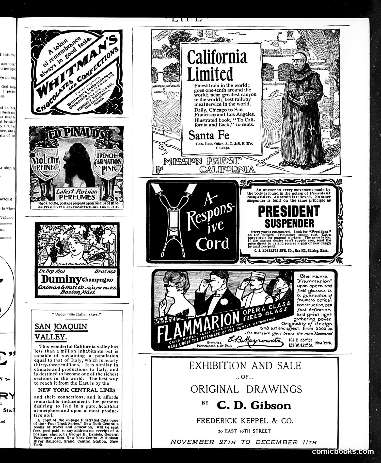 Life — December 12, 1901 — page 17 of 20