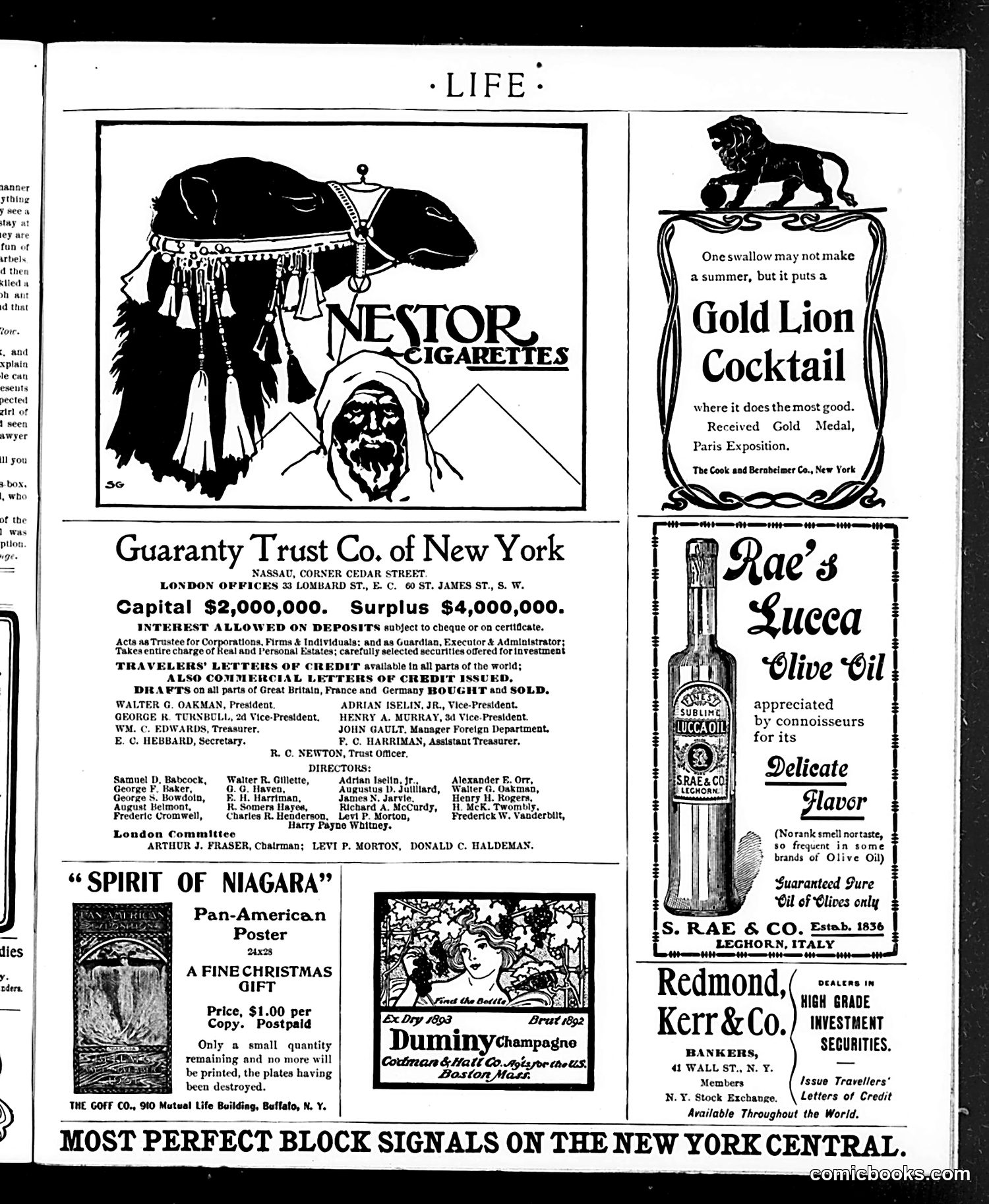 Life — December 19, 1901 — page 17 of 20
