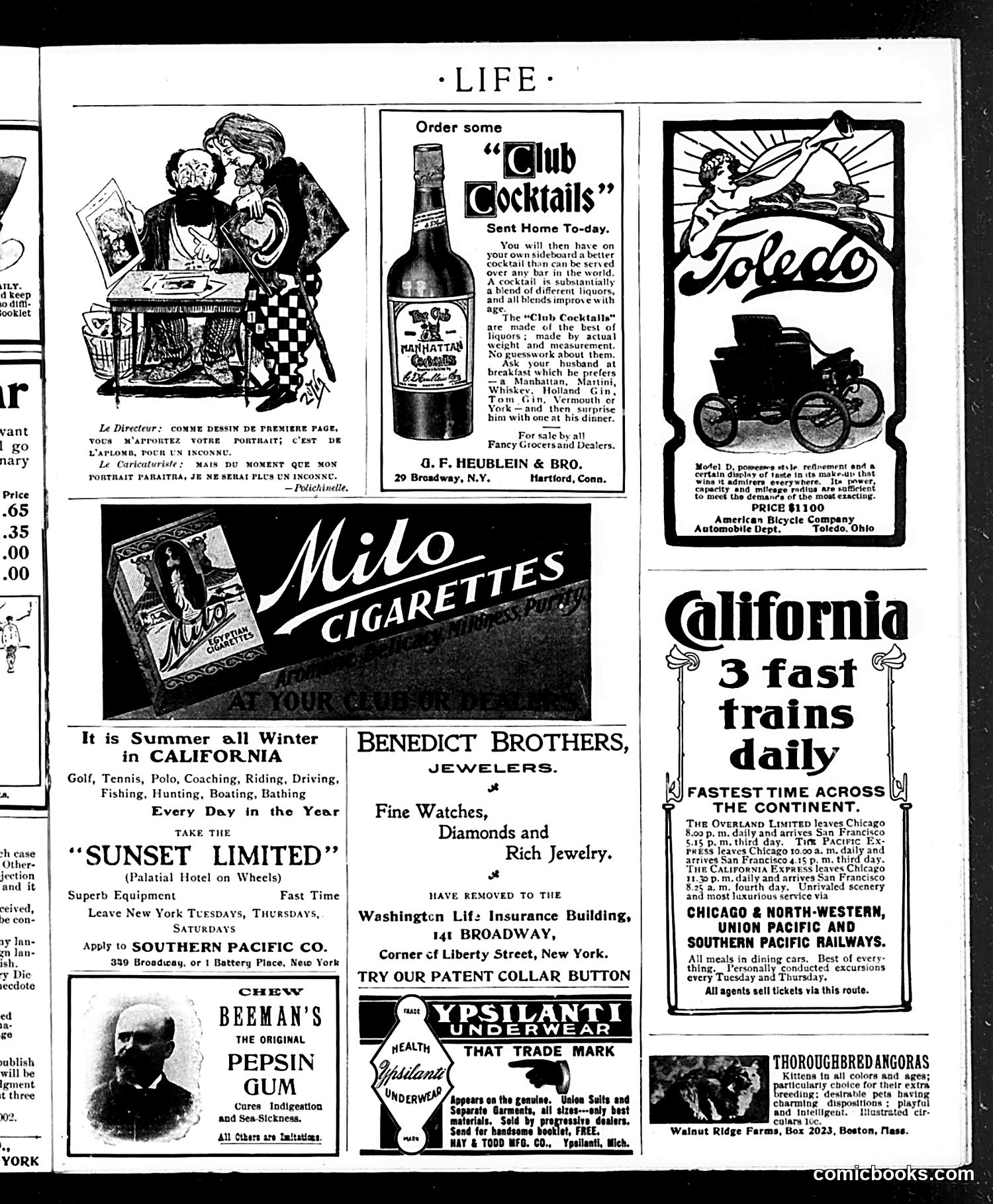 Life — December 19, 1901 — page 19 of 20
