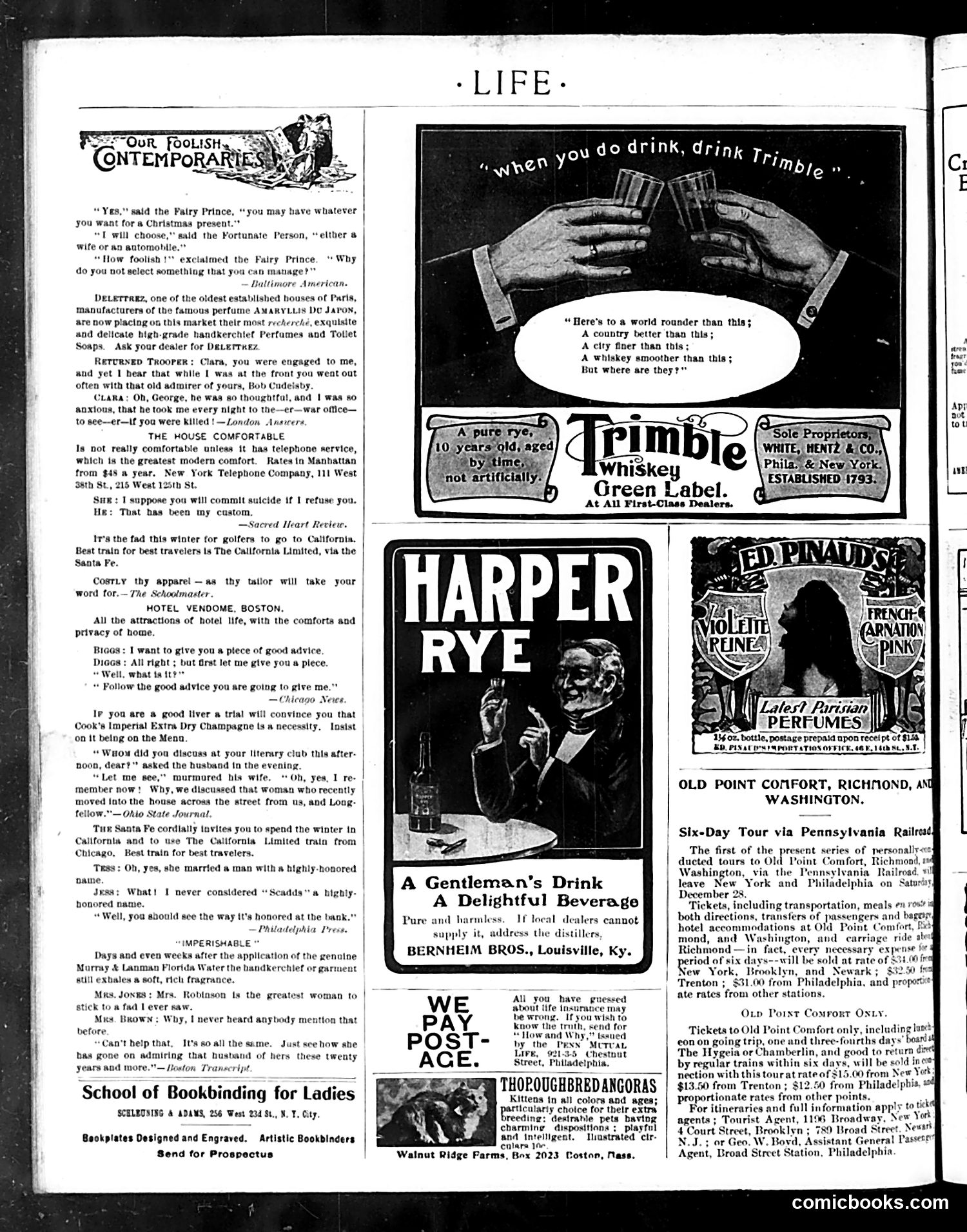 Life — December 26, 1901 — page 28 of 33