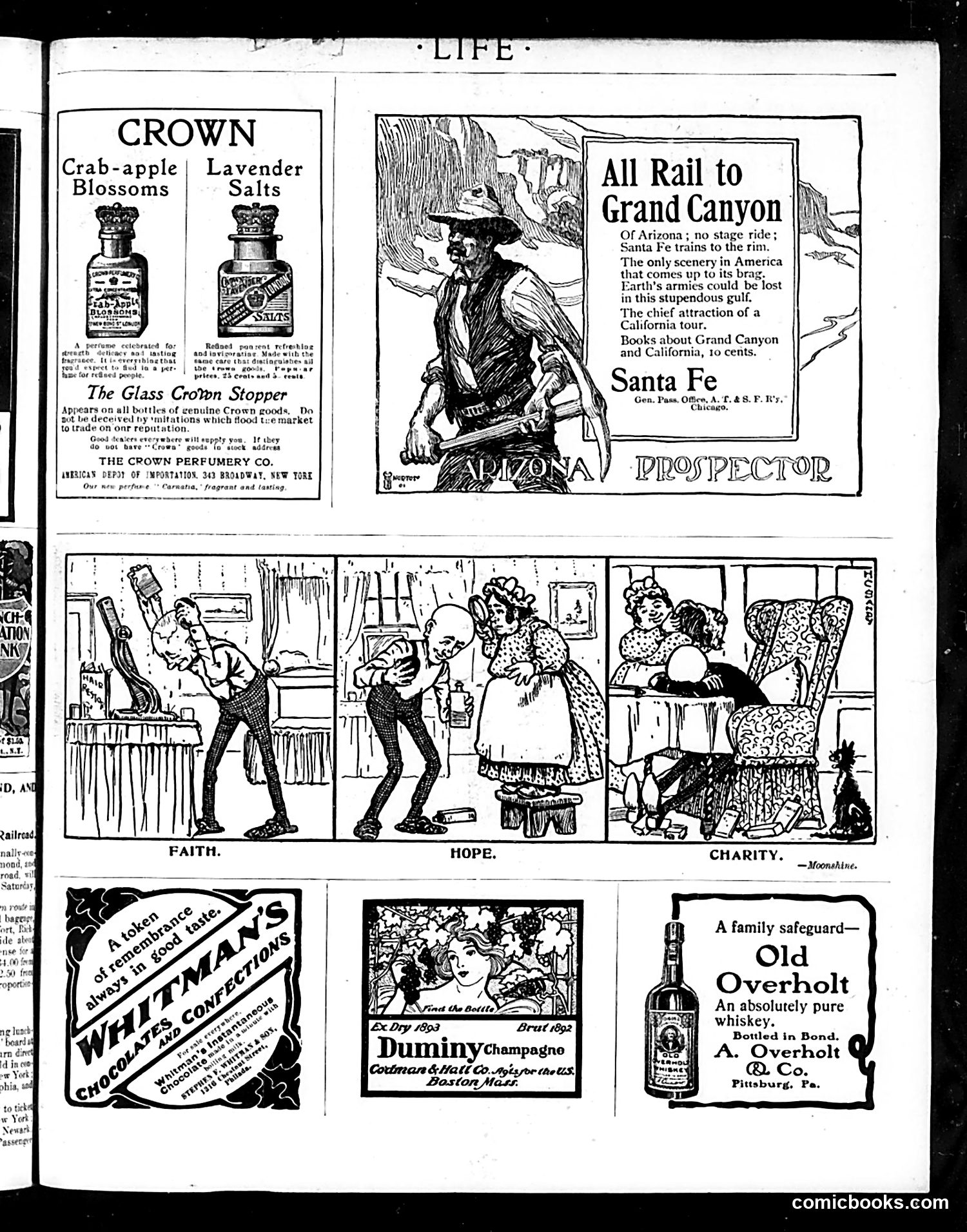 Life — December 26, 1901 — page 29 of 33