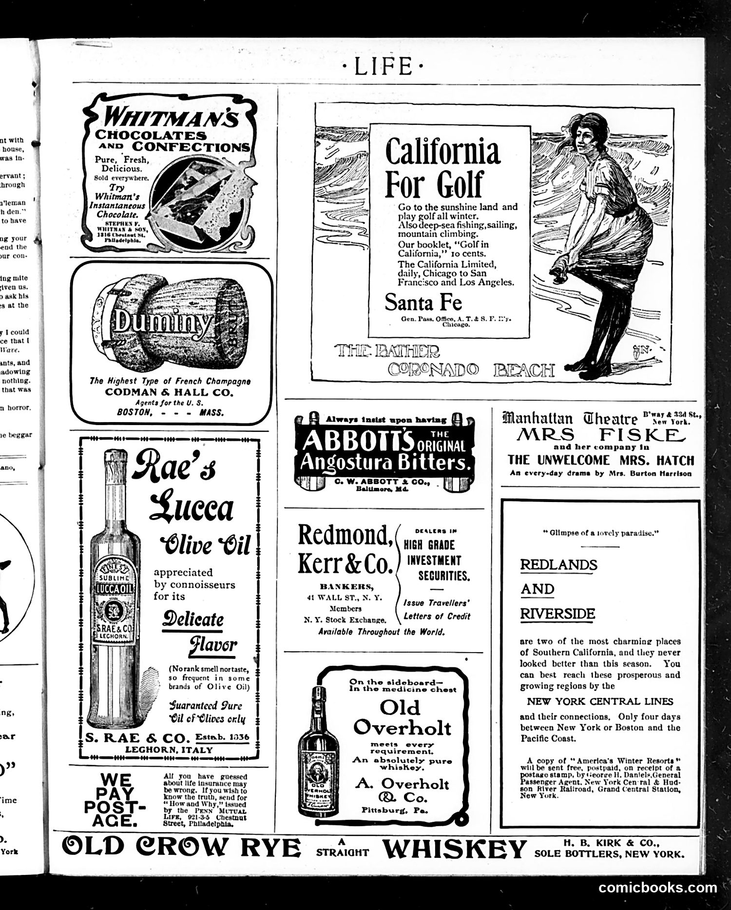 Life — January 9, 1902 — page 17 of 20