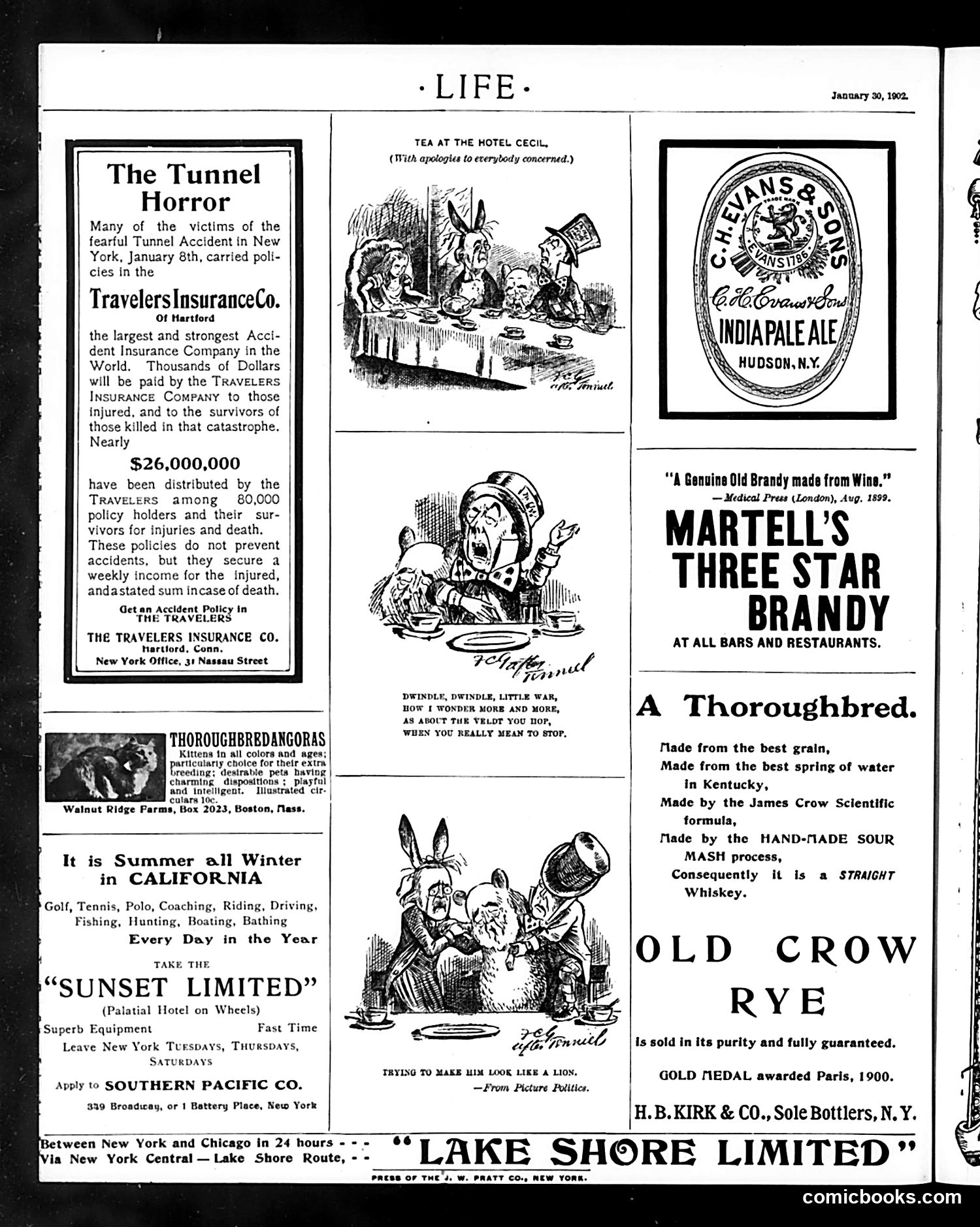 Life — January 30, 1902 — page 20 of 20