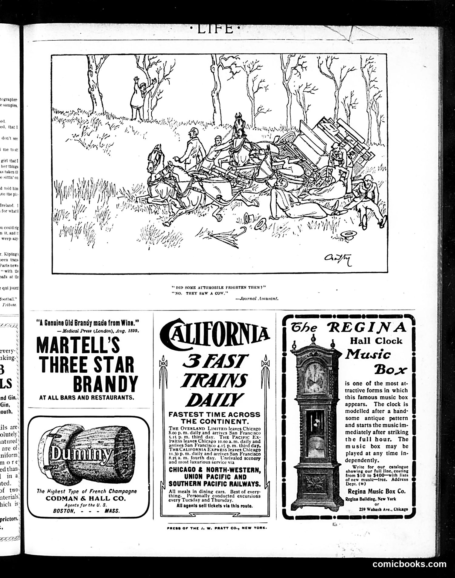 Life — February 13, 1902 — page 29 of 30